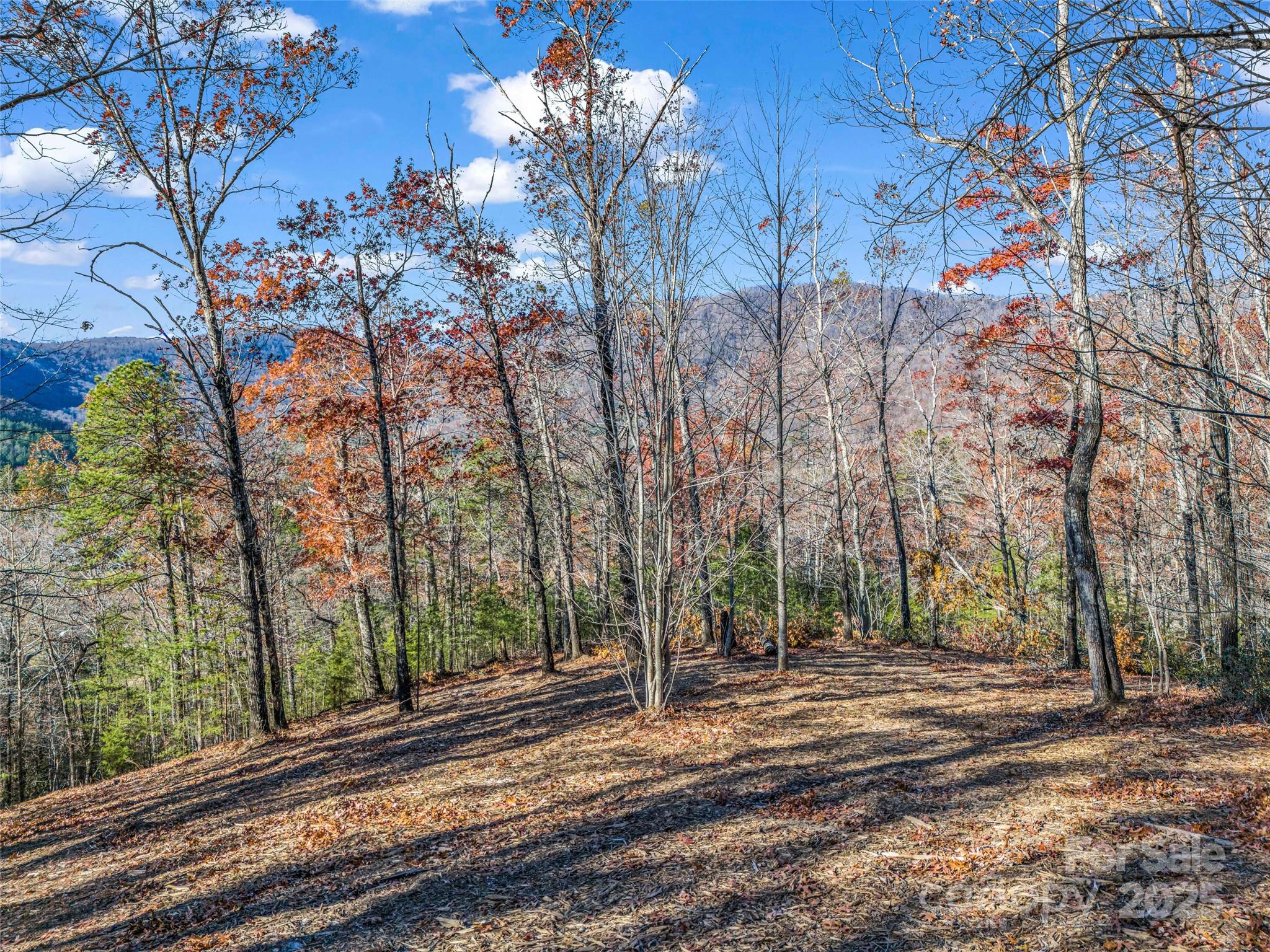 Lot 30 Deep Gap Farm Road E — Mill Spring
