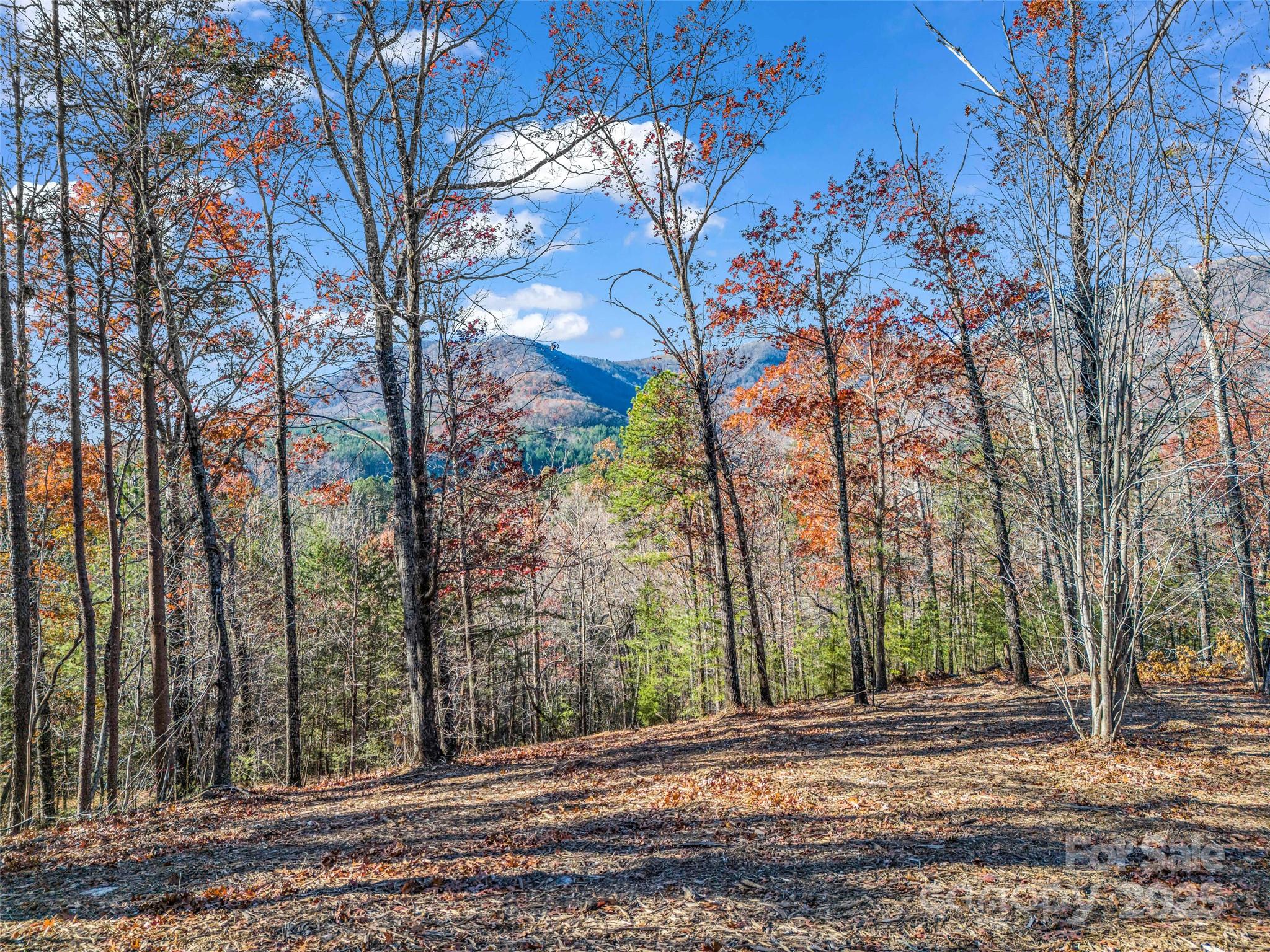 Lot 30 Deep Gap Farm Road E — Mill Spring