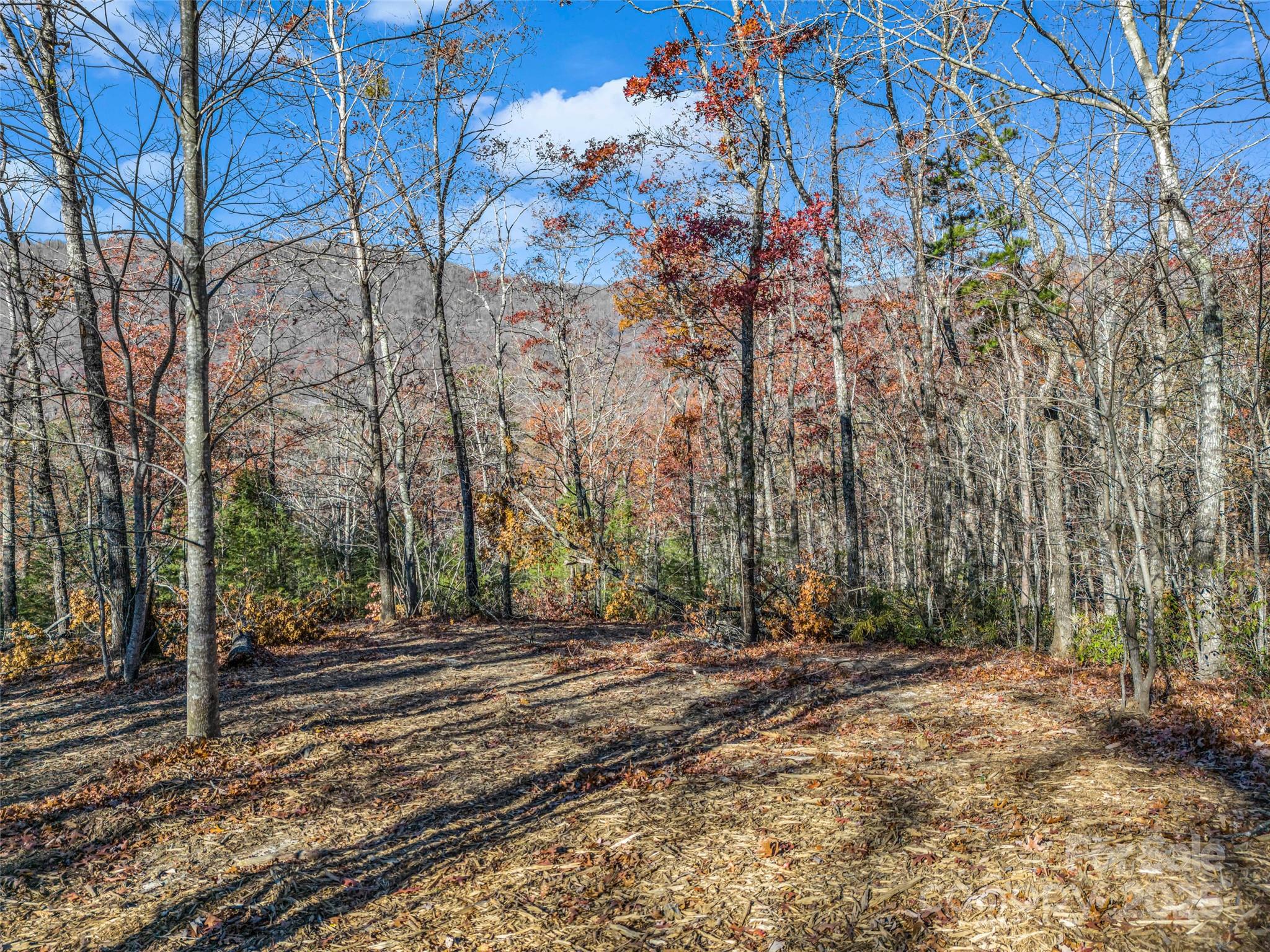 Lot 30 Deep Gap Farm Road E — Mill Spring