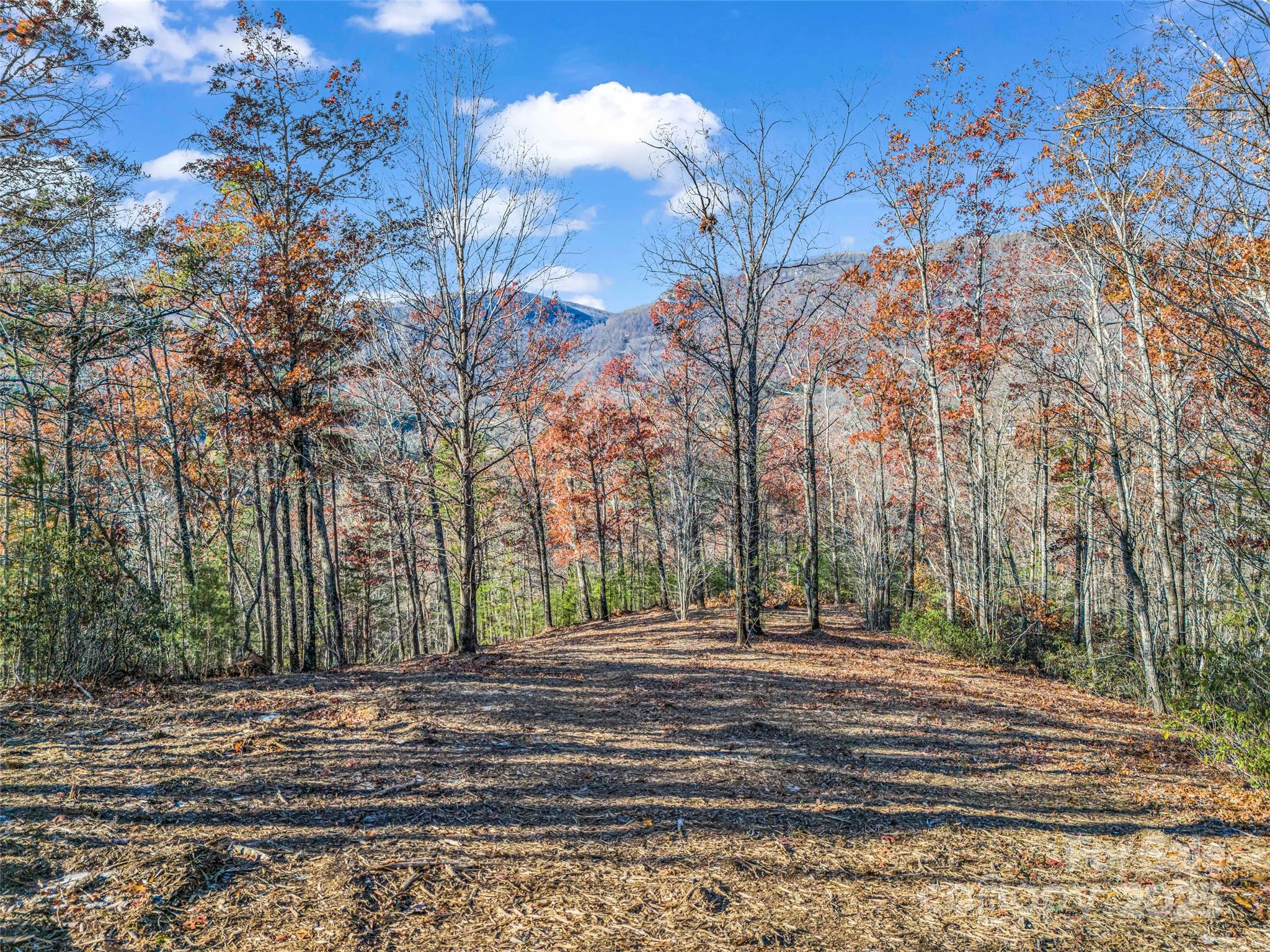 Lot 30 Deep Gap Farm Road E — Mill Spring