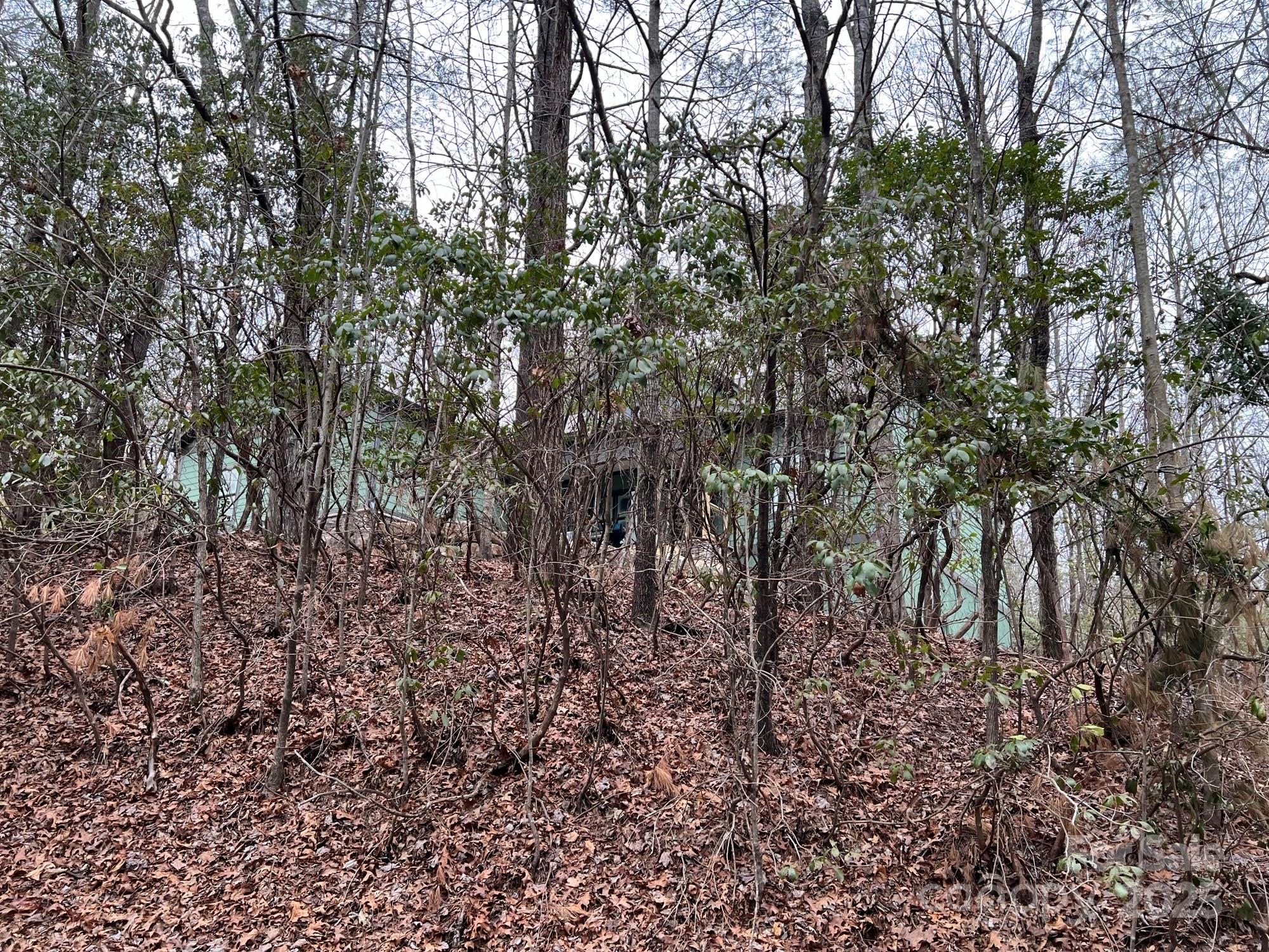 397 Soquili Drive — Brevard