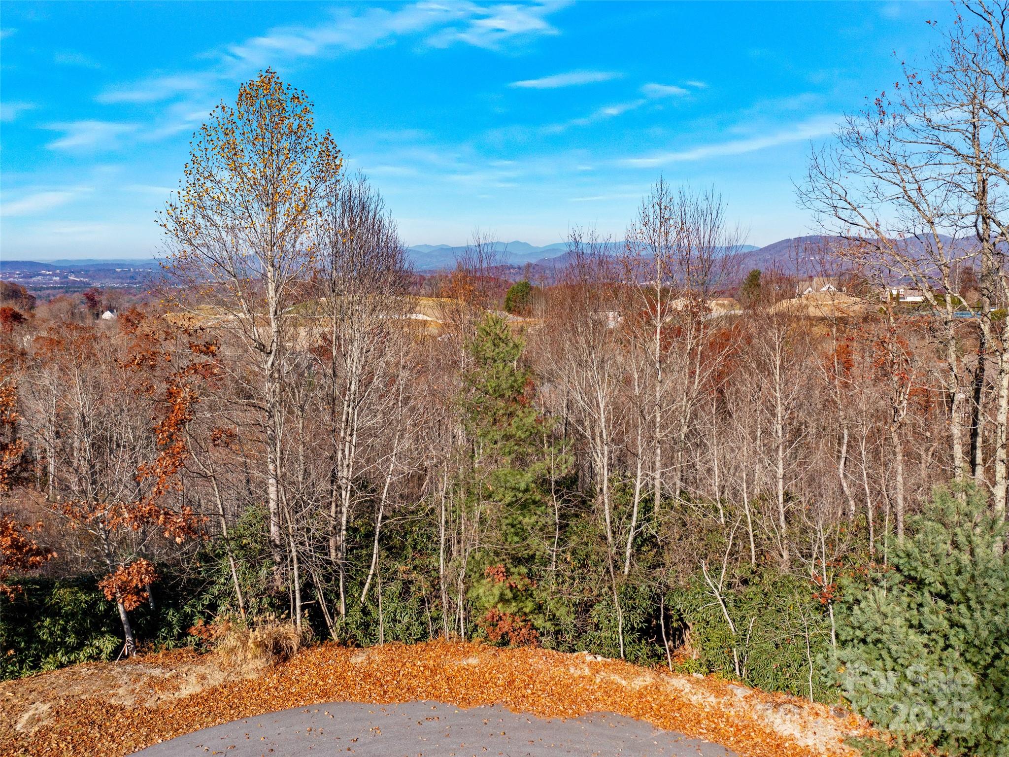 99999 Bay Laurel Lane — Hendersonville