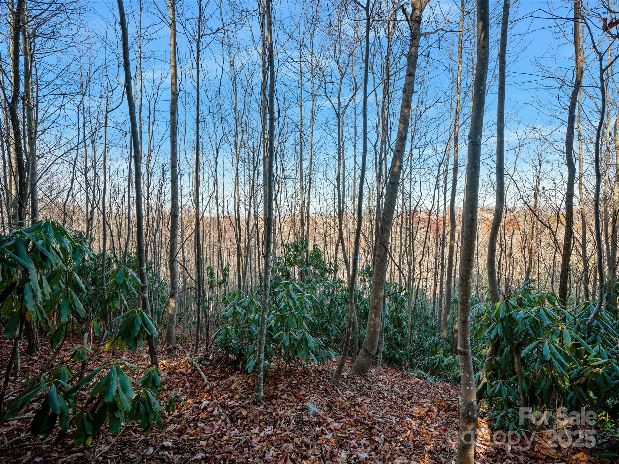 99999 Bay Laurel Lane — Hendersonville