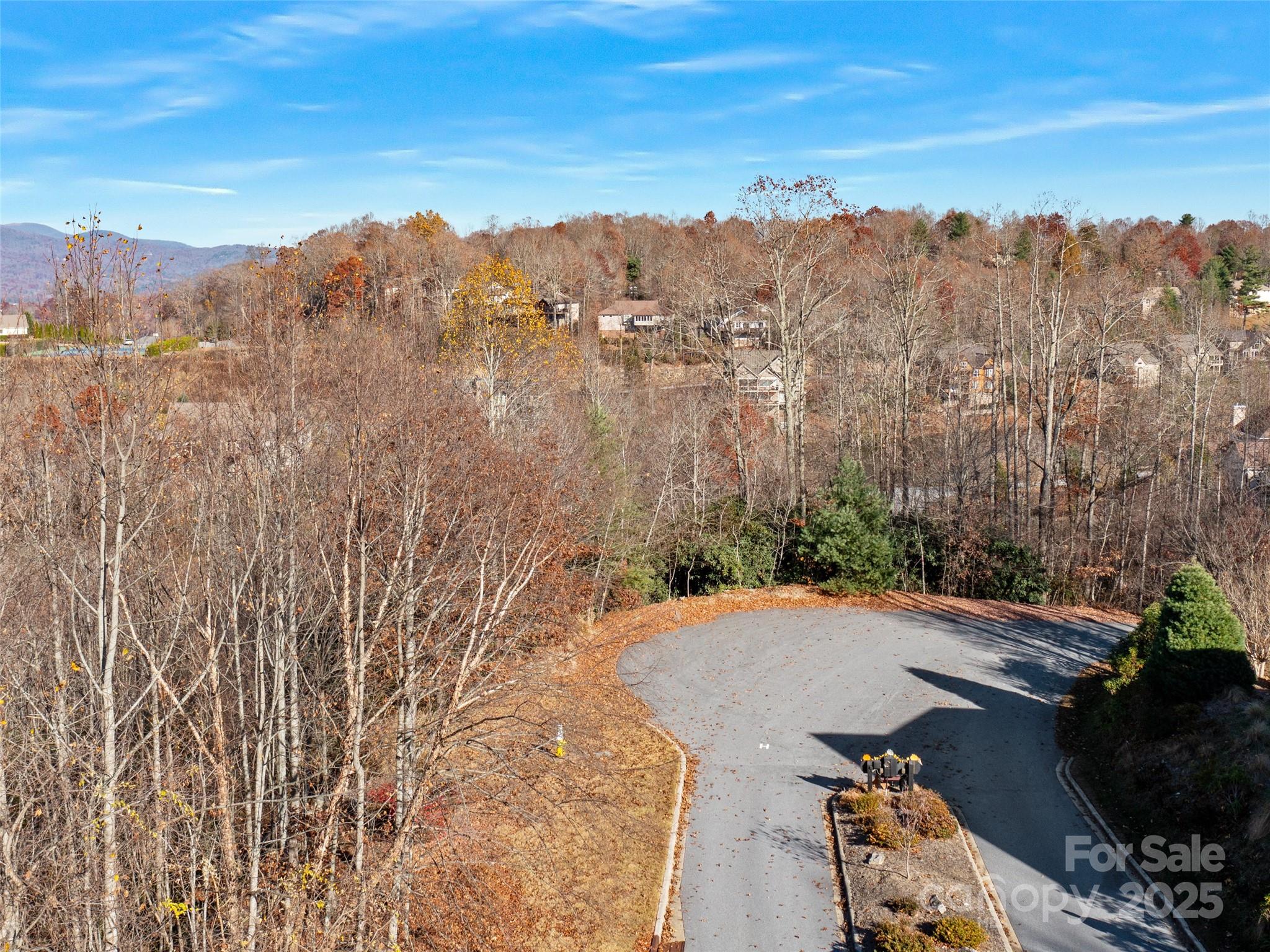99999 Bay Laurel Lane — Hendersonville