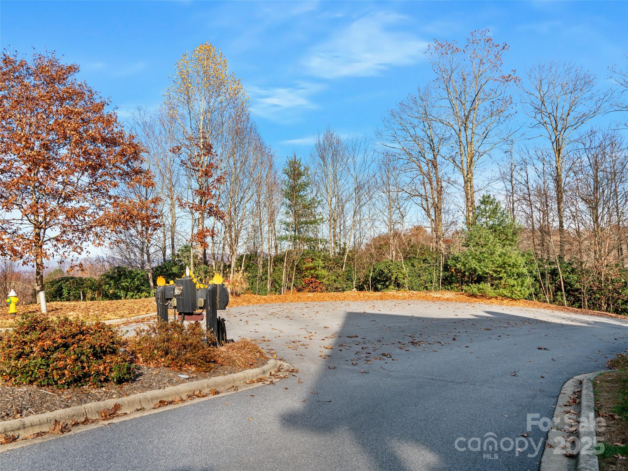 99999 Bay Laurel Lane — Hendersonville
