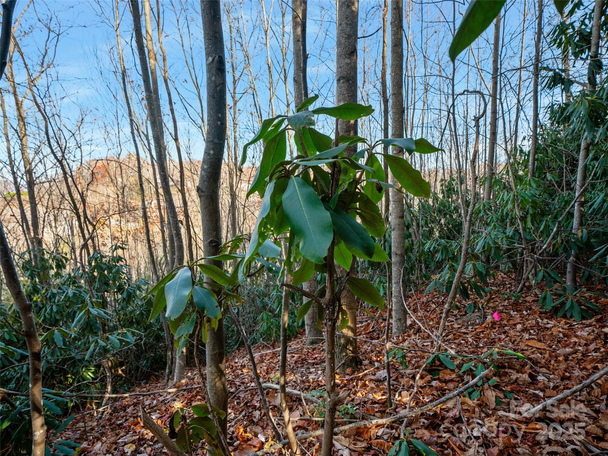 99999 Bay Laurel Lane — Hendersonville