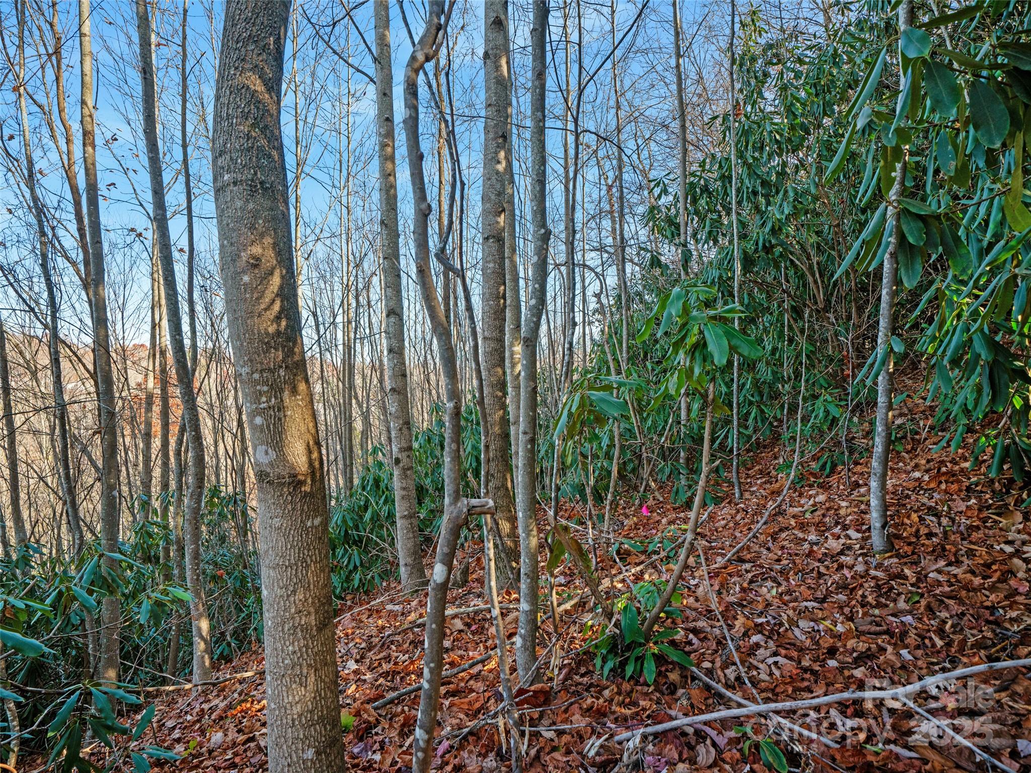 99999 Bay Laurel Lane — Hendersonville
