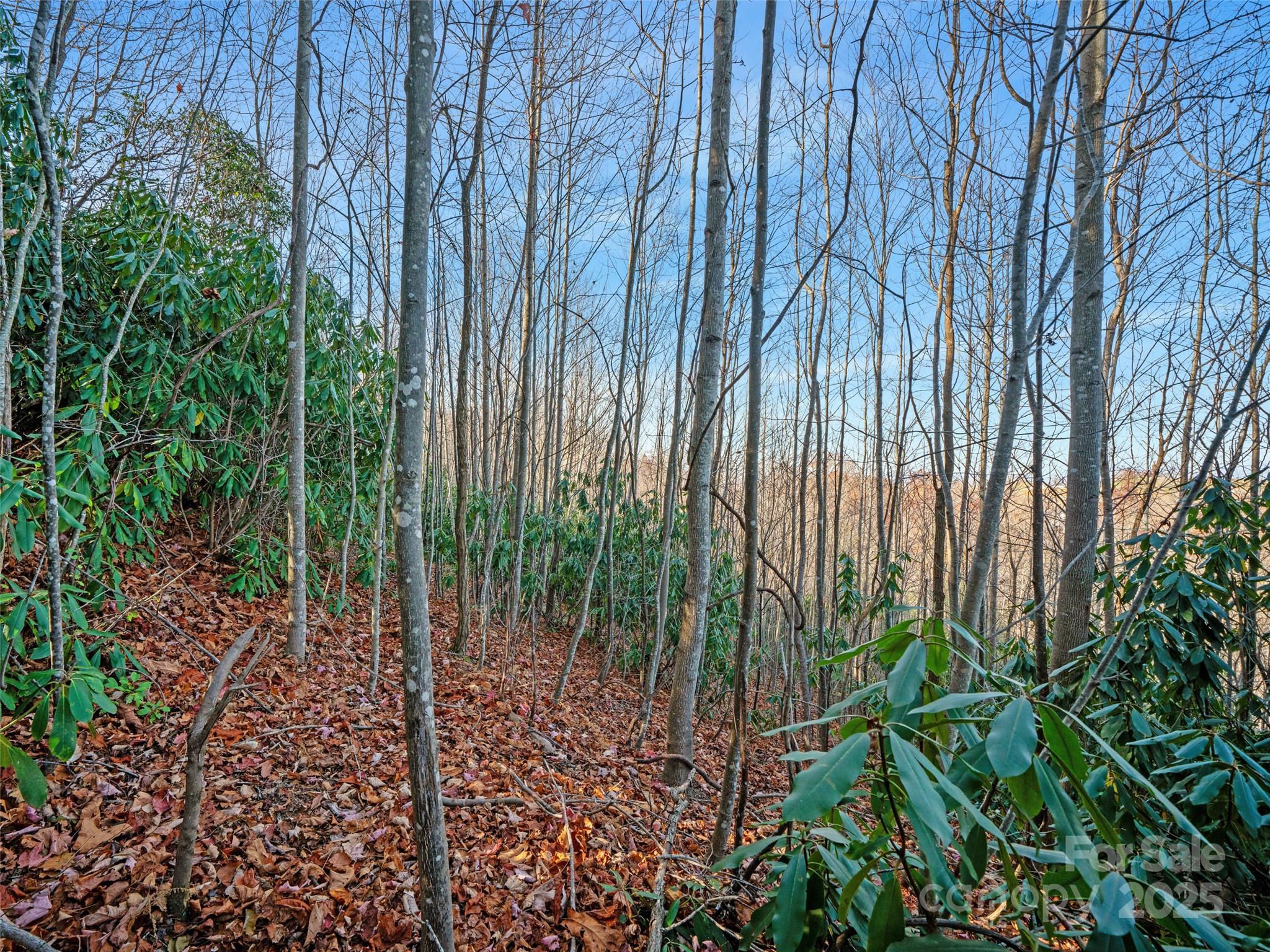 99999 Bay Laurel Lane — Hendersonville
