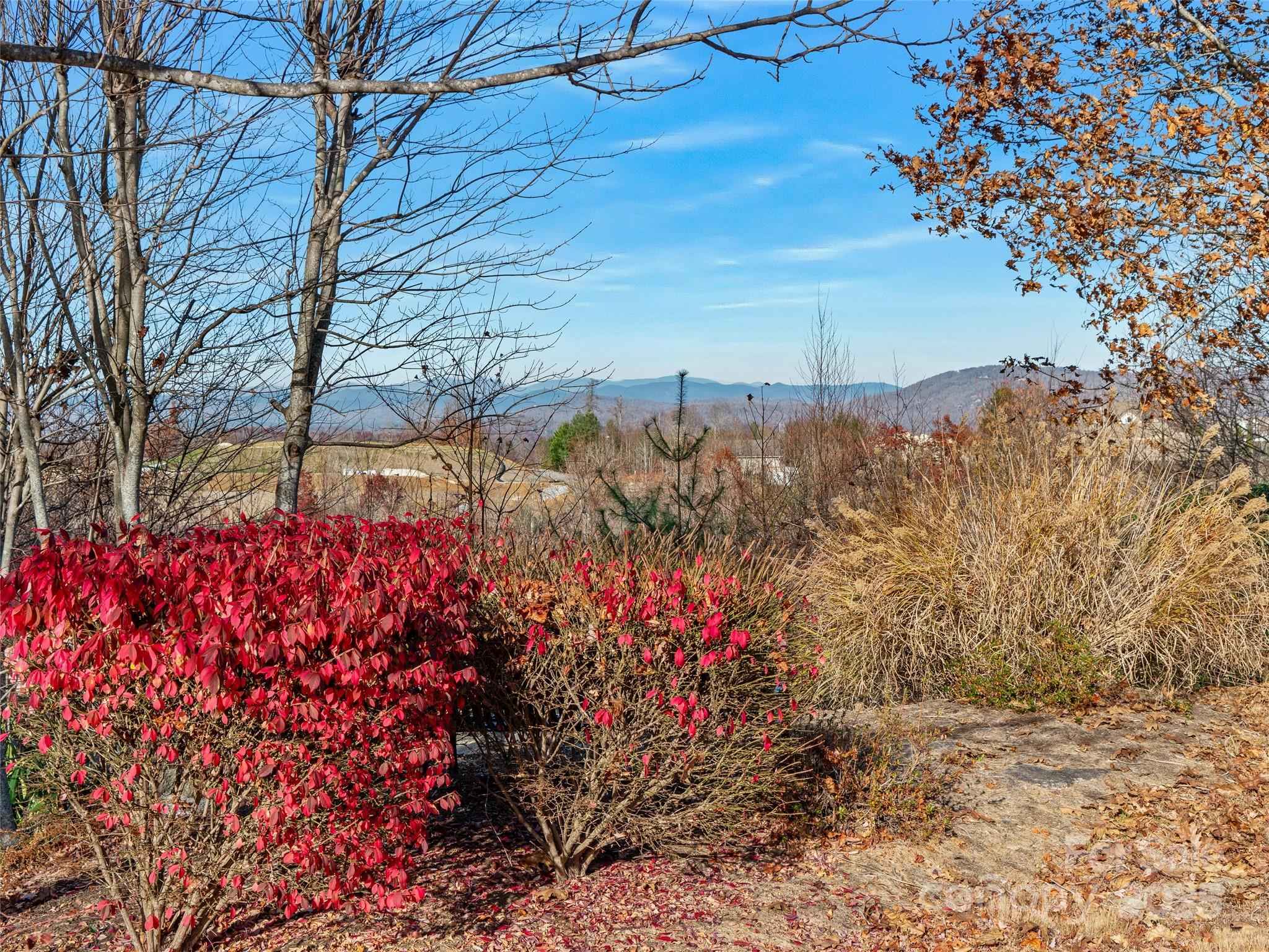 99999 Bay Laurel Lane — Hendersonville