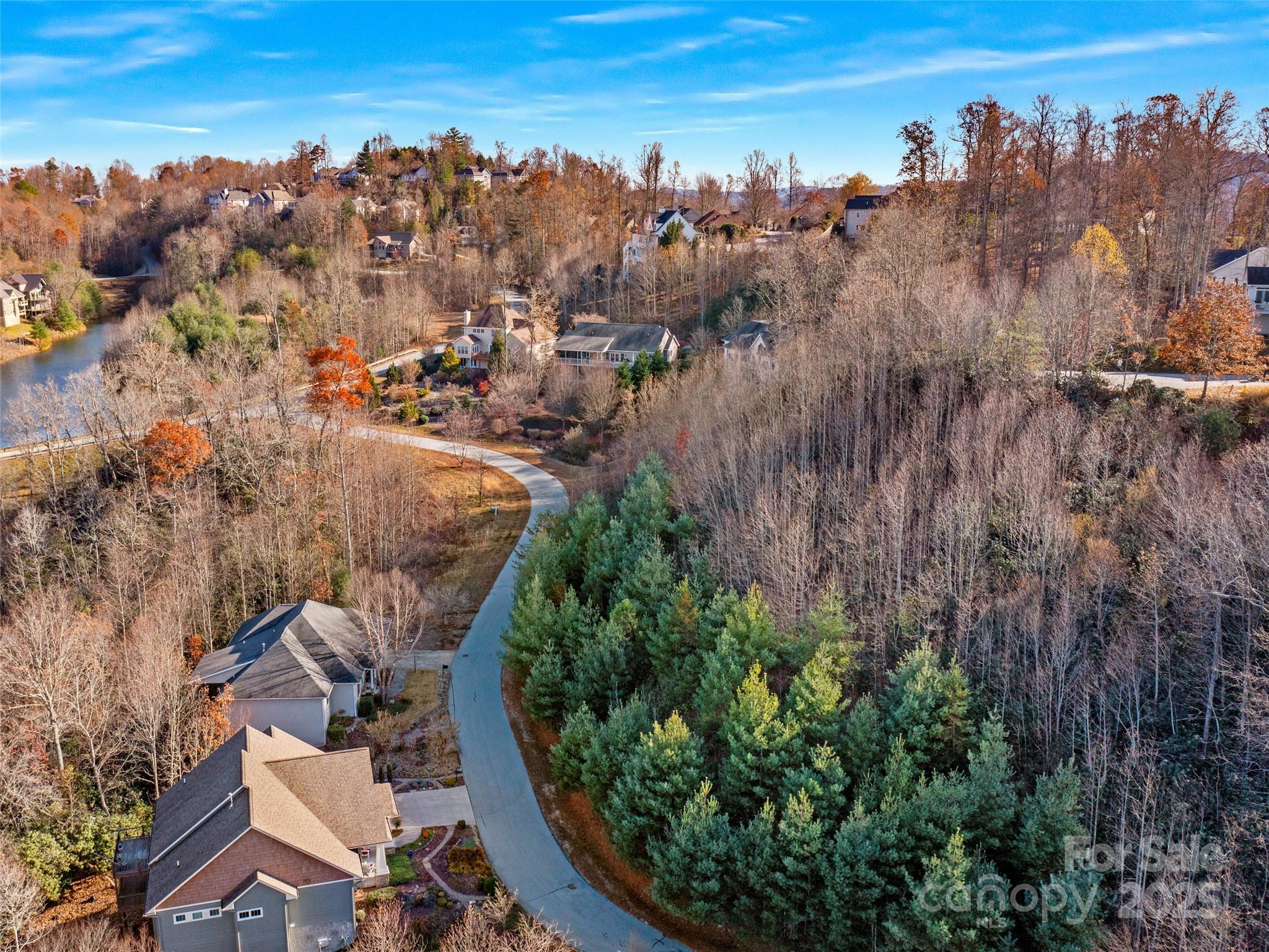 99999 Bay Laurel Lane — Hendersonville