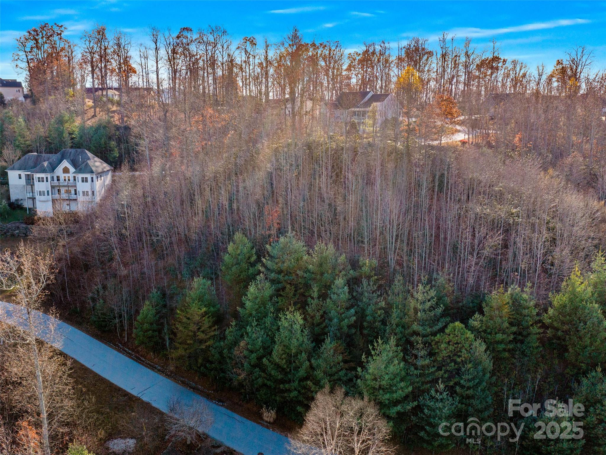 99999 Bay Laurel Lane — Hendersonville
