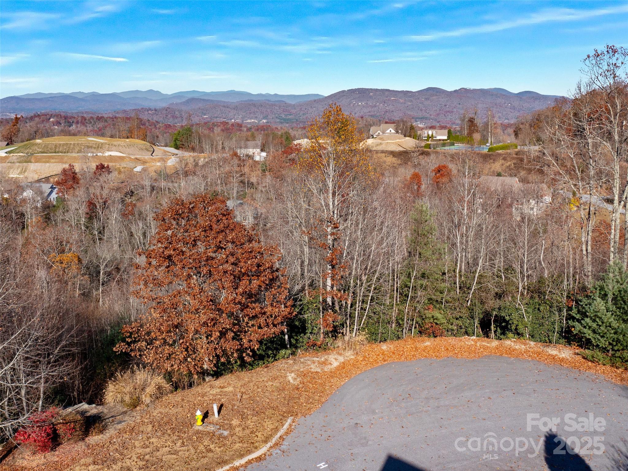 99999 Bay Laurel Lane — Hendersonville