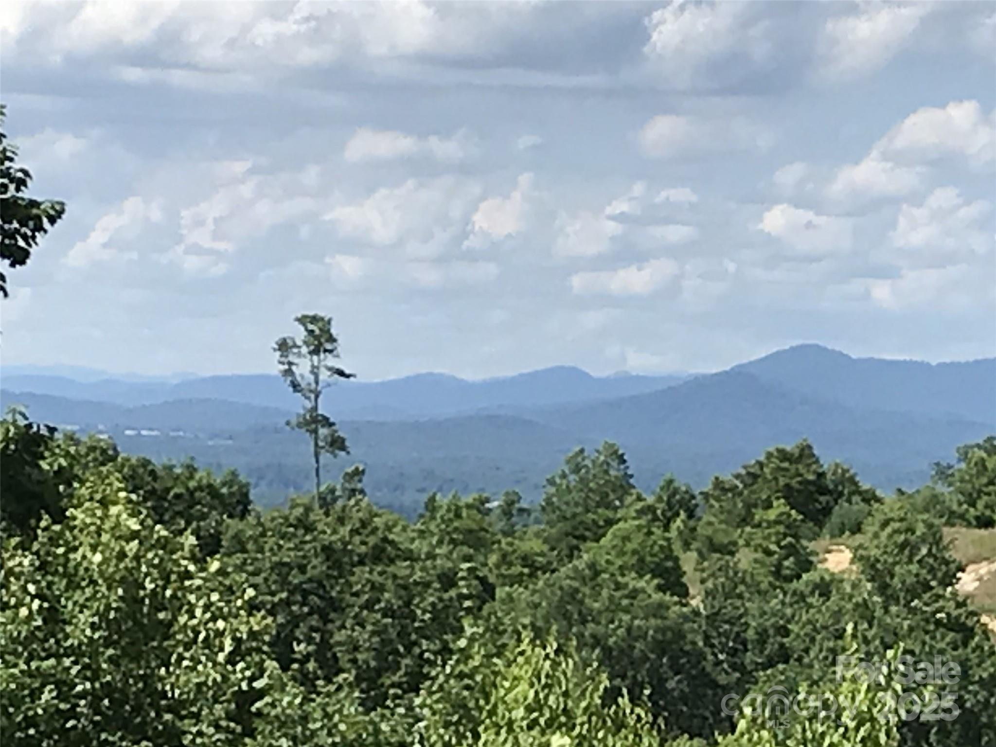 99999 Bay Laurel Lane — Hendersonville
