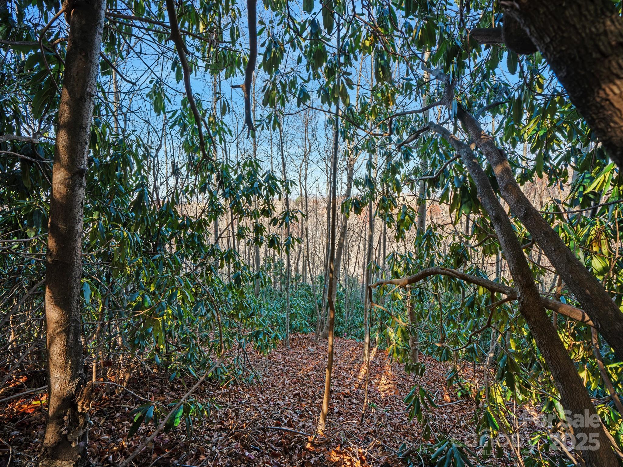 99999 Bay Laurel Lane — Hendersonville