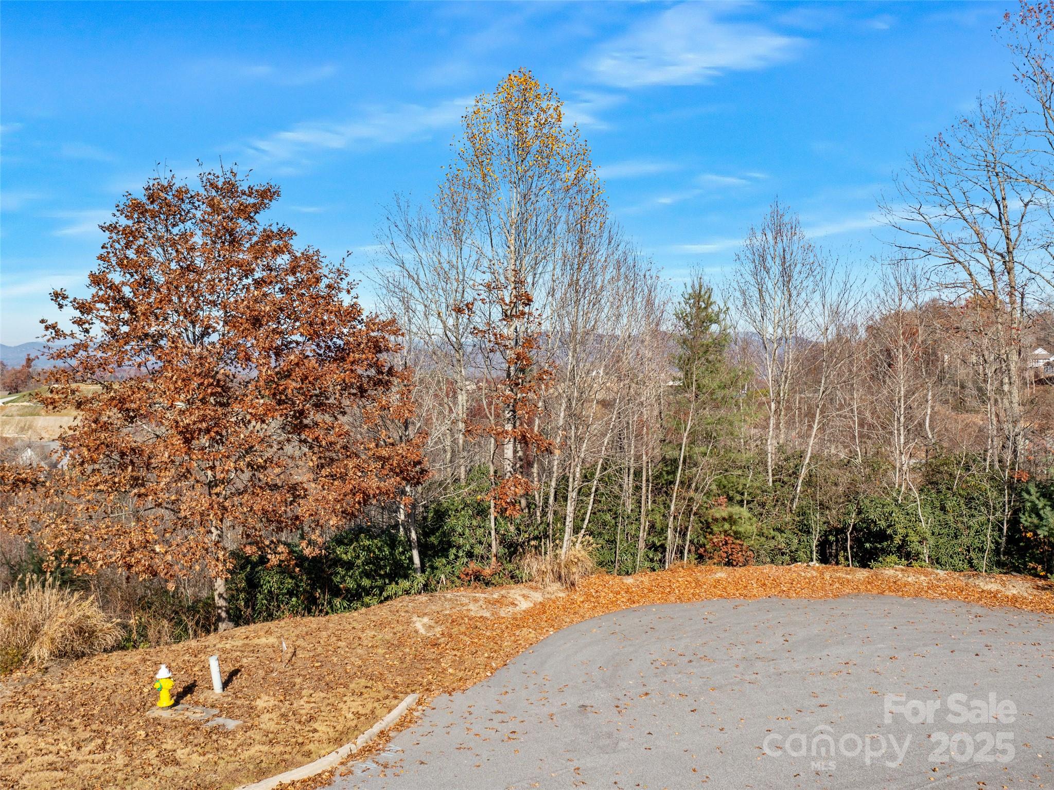 99999 Bay Laurel Lane — Hendersonville
