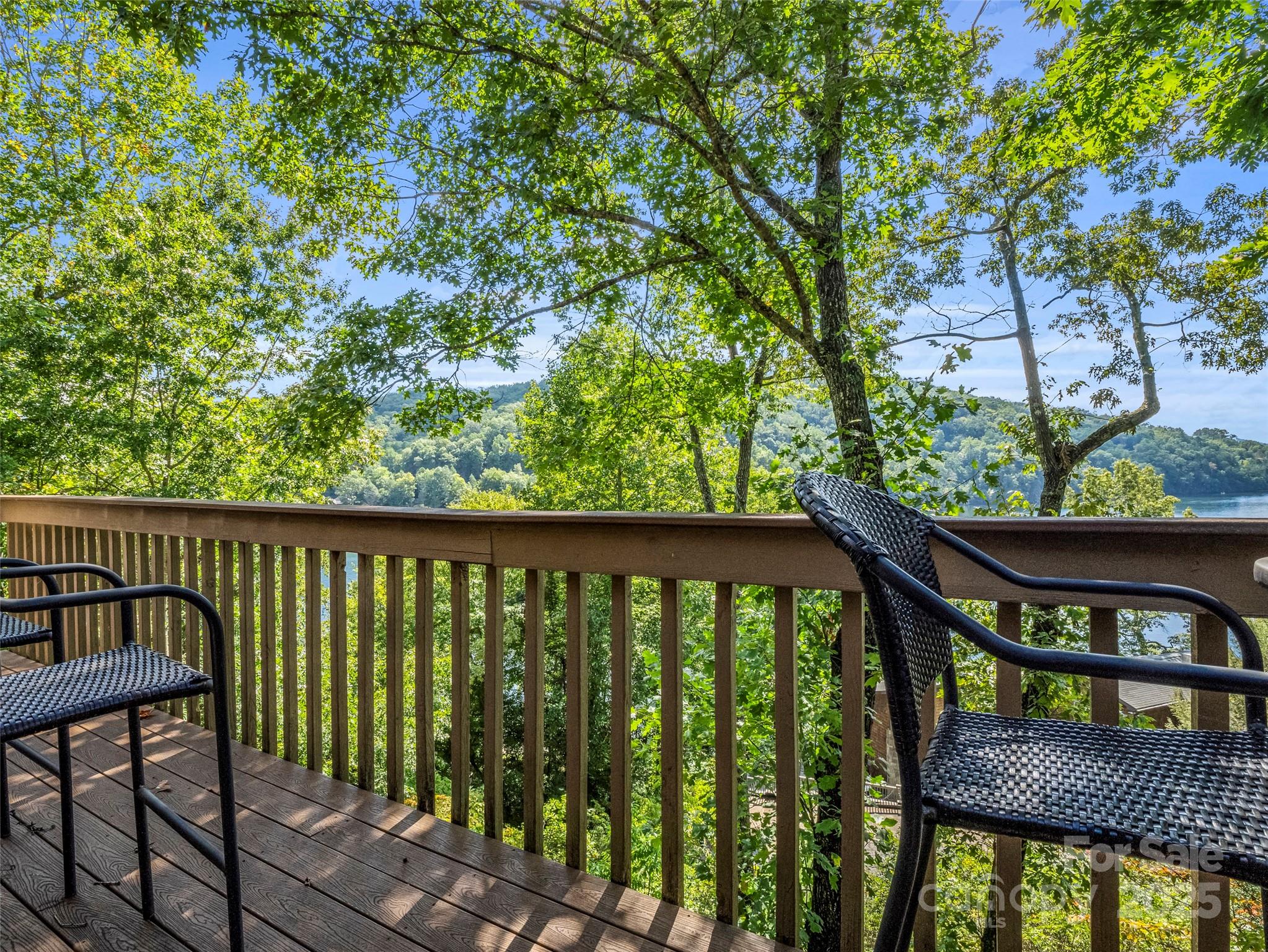 155 Quail Cove Road #1602 — Lake Lure