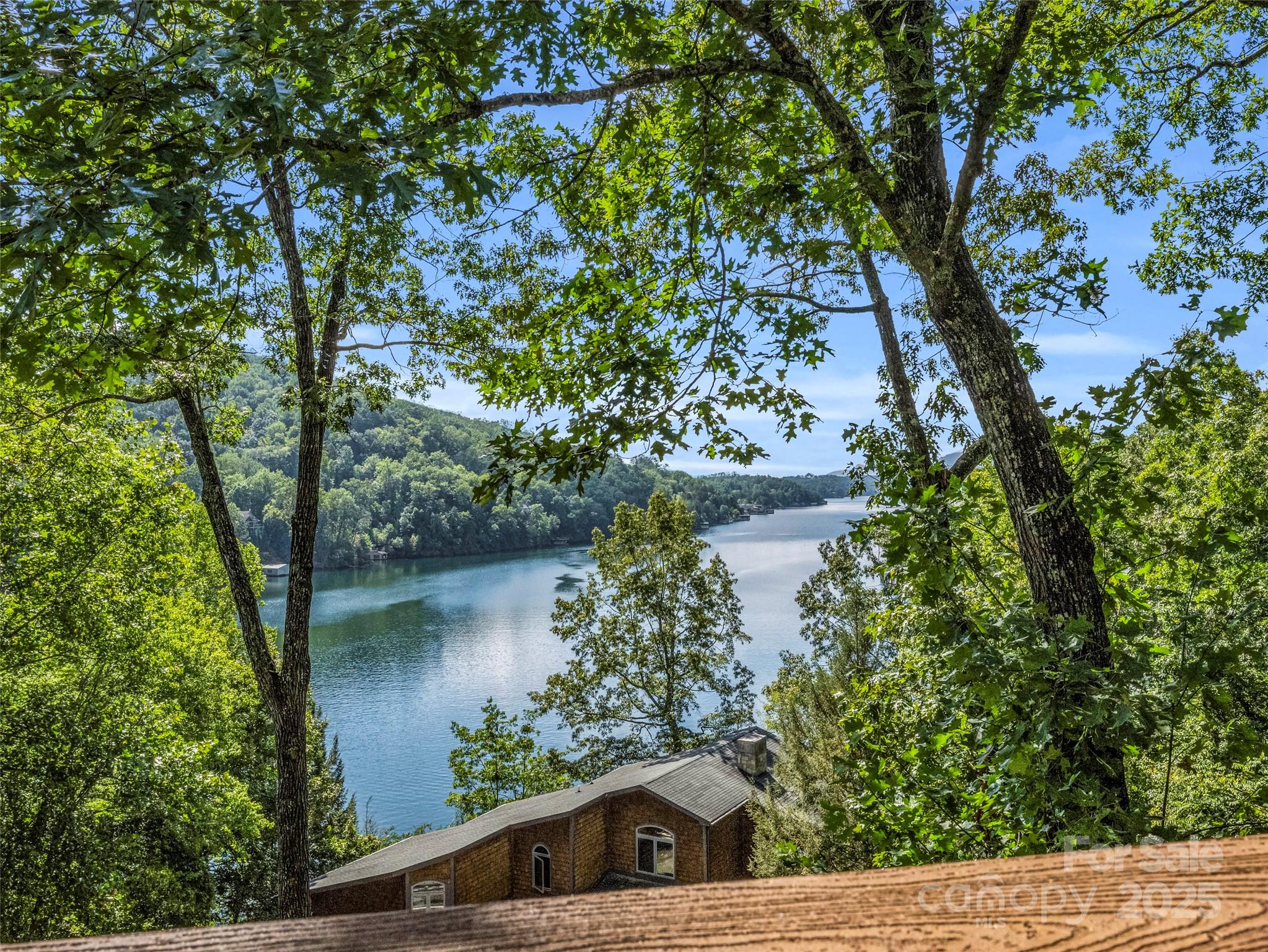 155 Quail Cove Road #1602 — Lake Lure