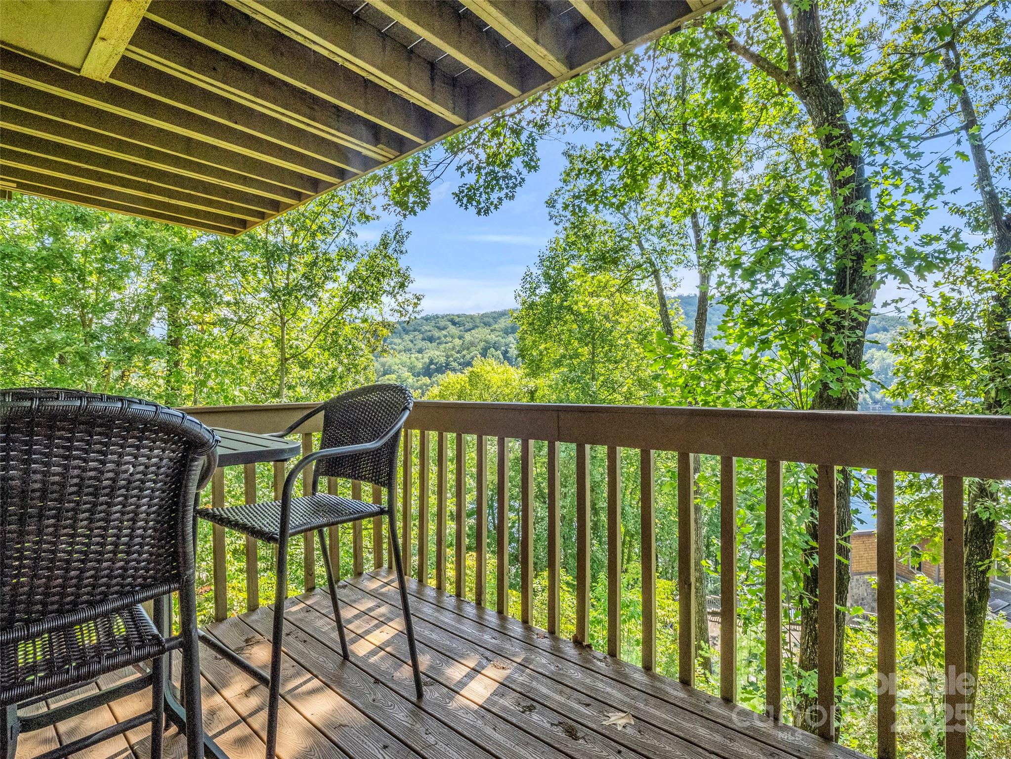 155 Quail Cove Road #1602 — Lake Lure