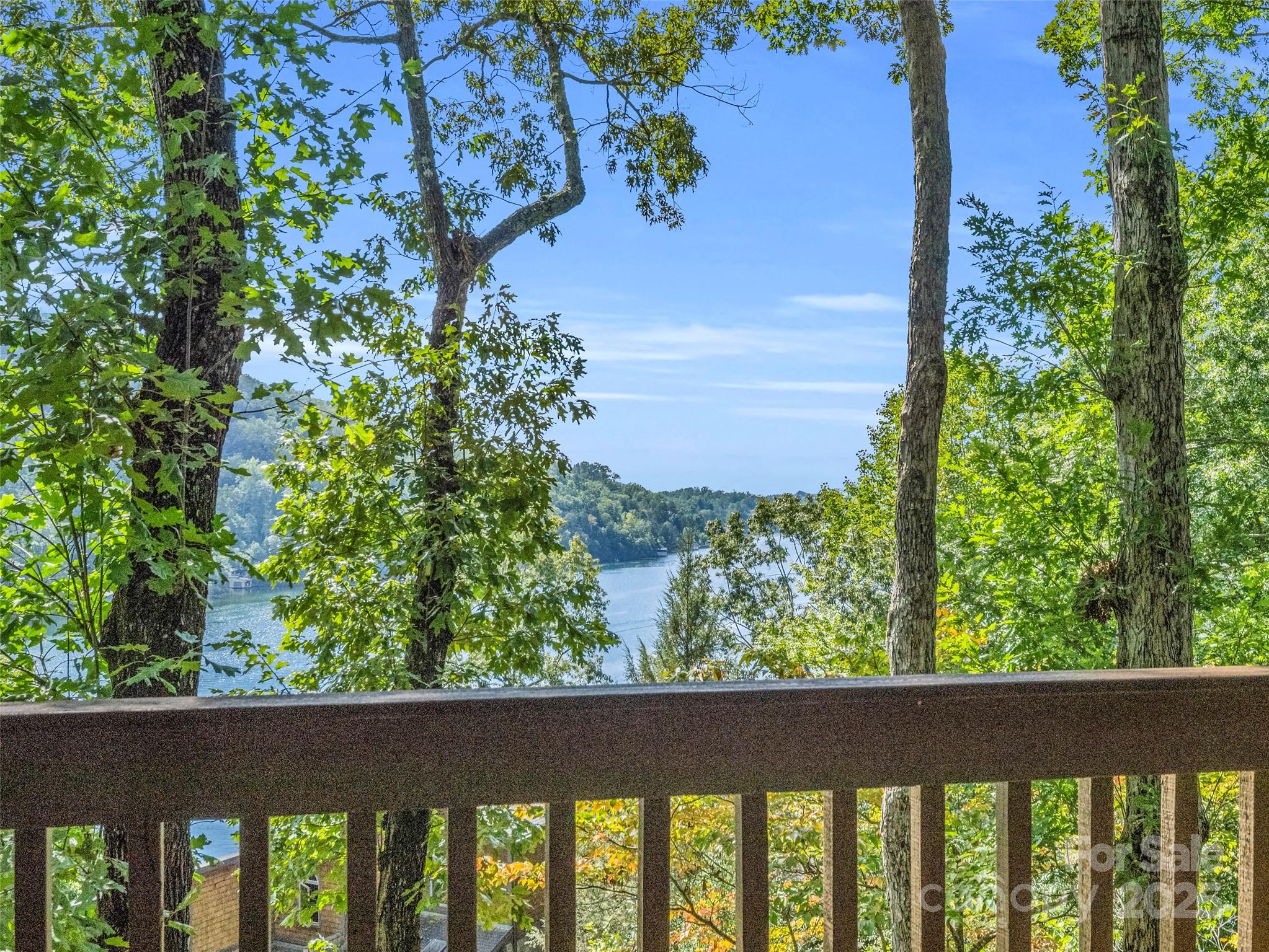 155 Quail Cove Road #1602 — Lake Lure