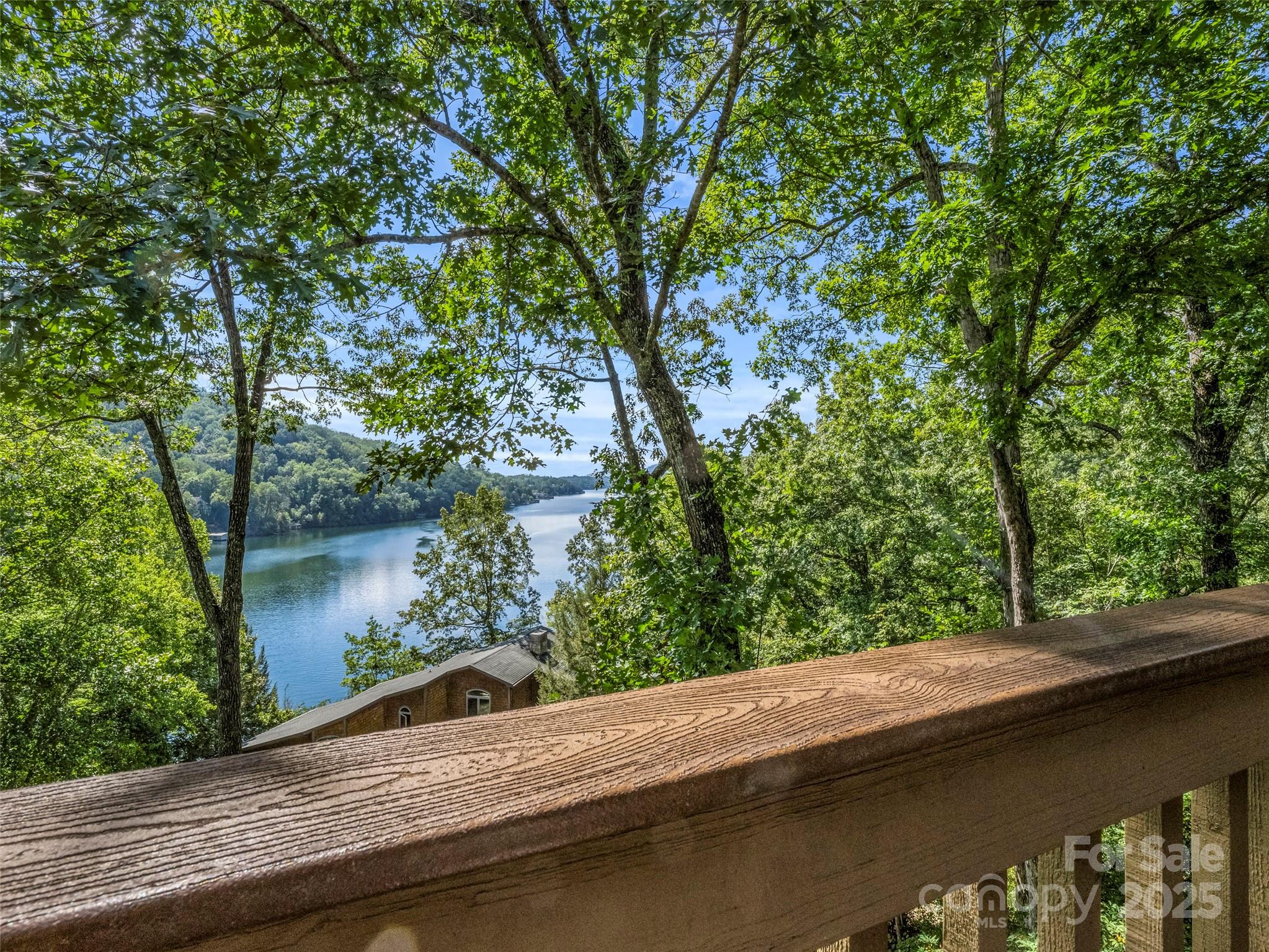 155 Quail Cove Road #1602 — Lake Lure