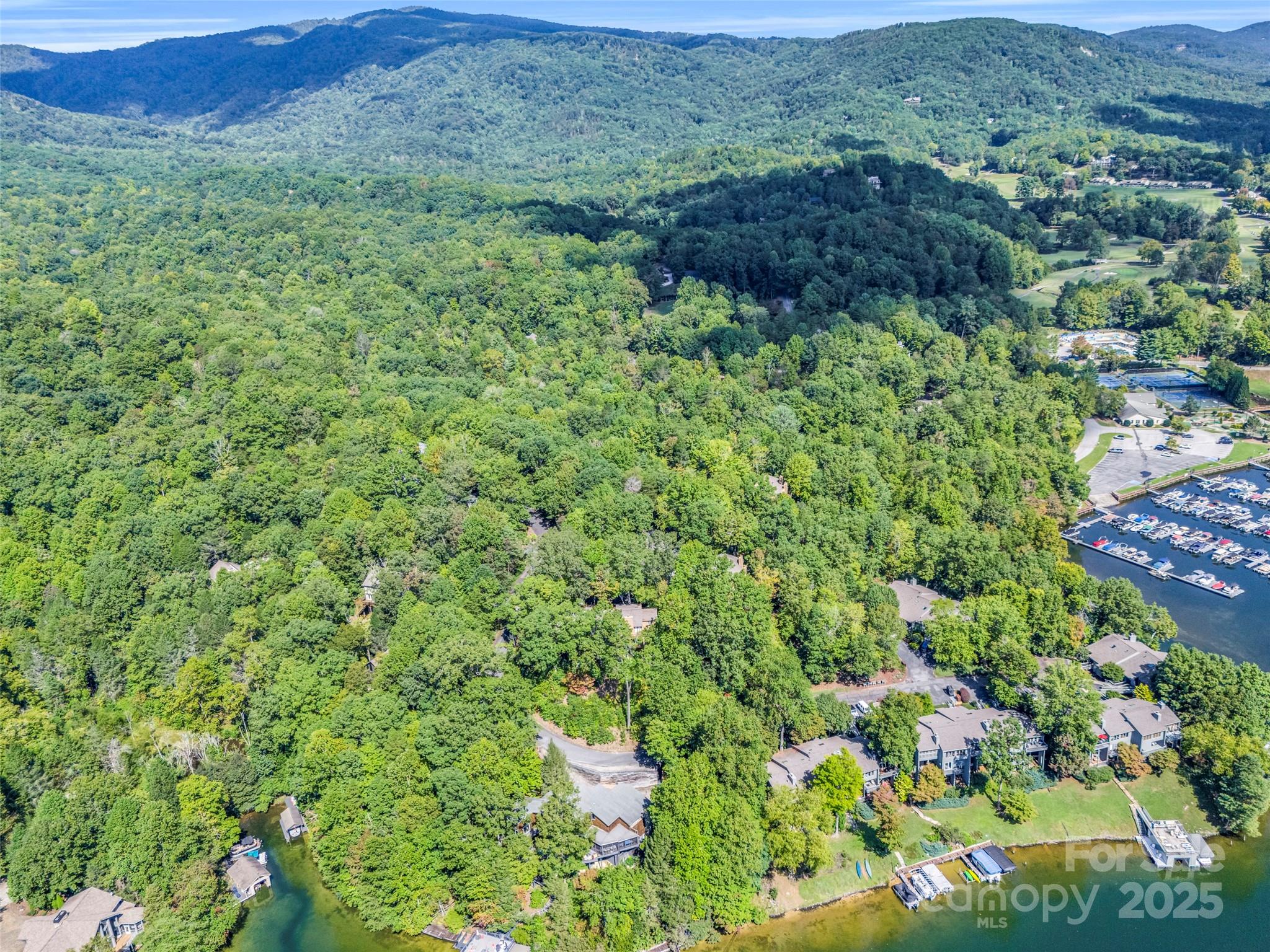 155 Quail Cove Road #1602 — Lake Lure