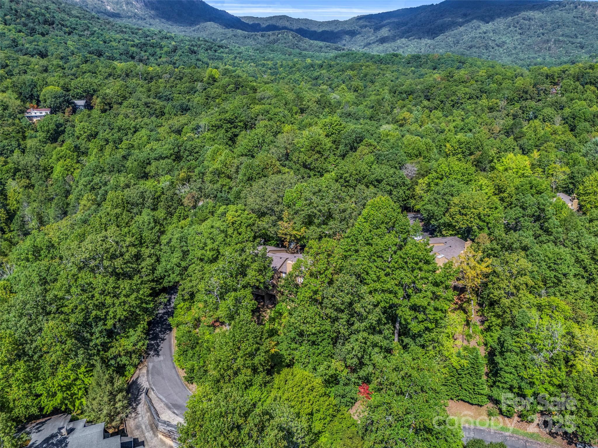 155 Quail Cove Road #1602 — Lake Lure