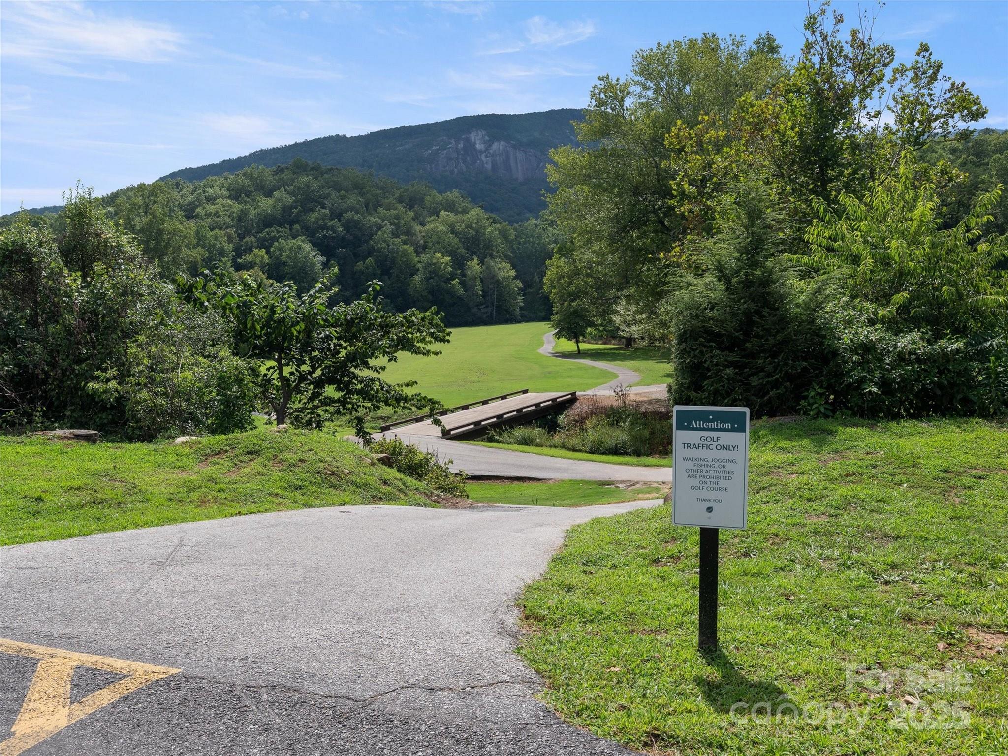 155 Quail Cove Road #1602 — Lake Lure