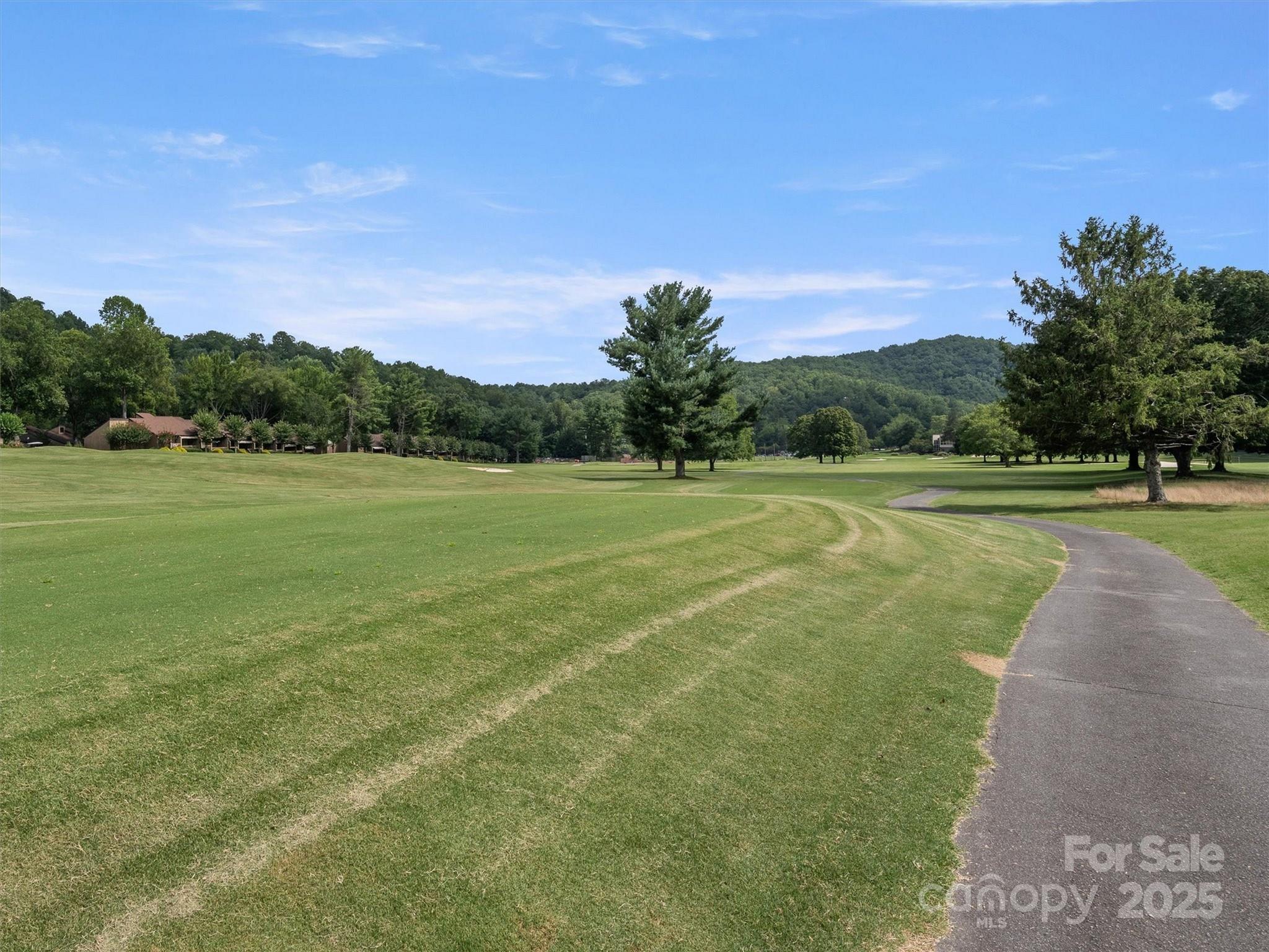 155 Quail Cove Road #1602 — Lake Lure