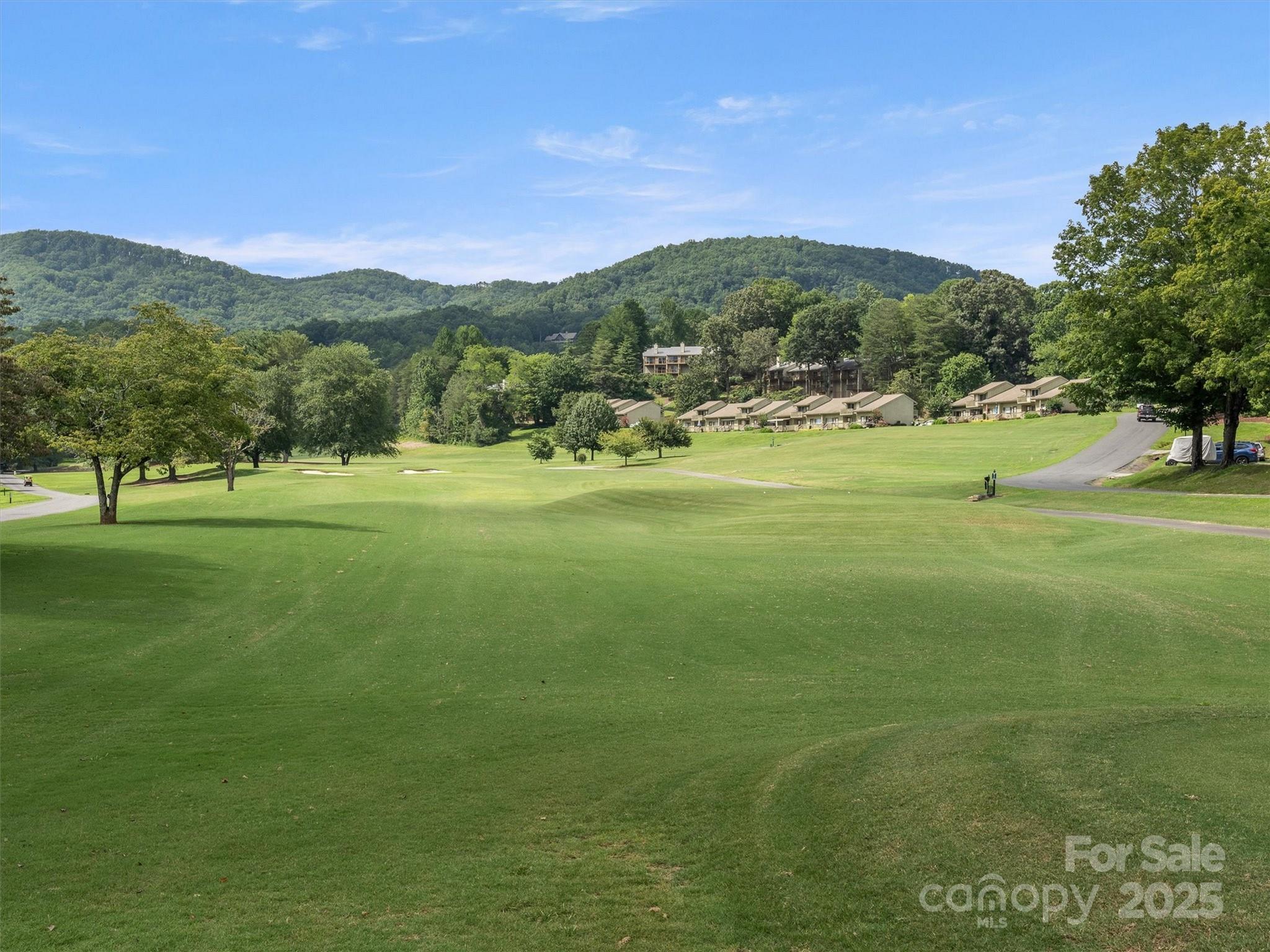 155 Quail Cove Road #1602 — Lake Lure