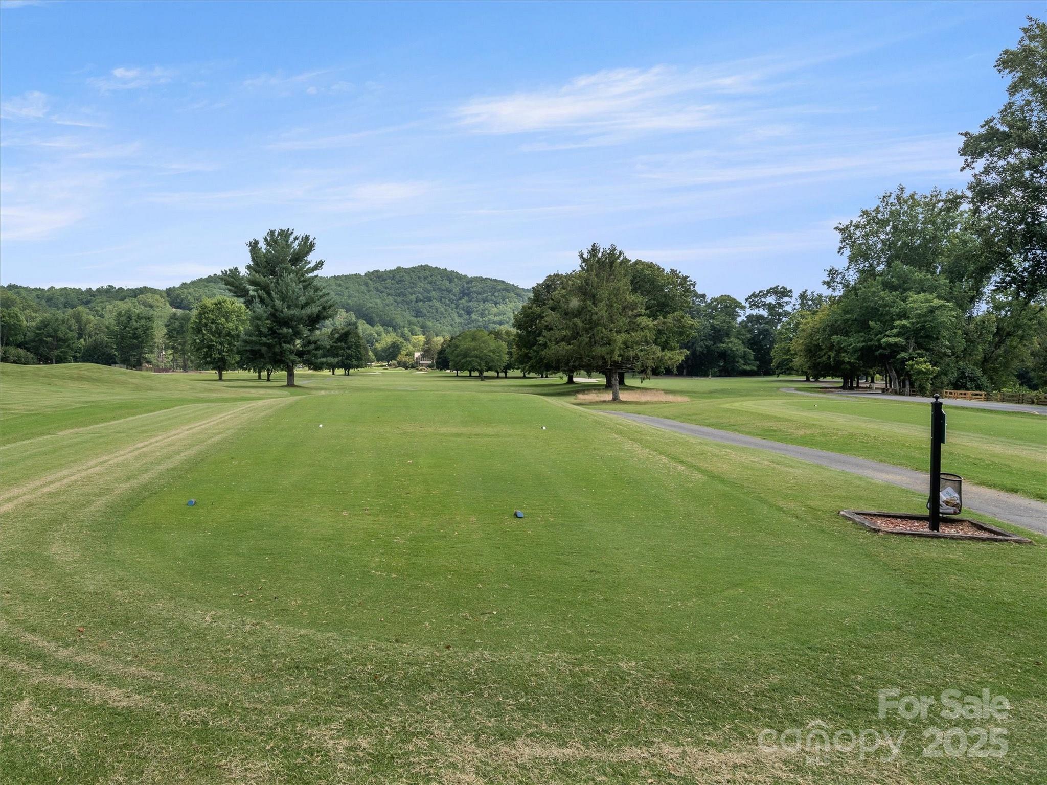 155 Quail Cove Road #1602 — Lake Lure
