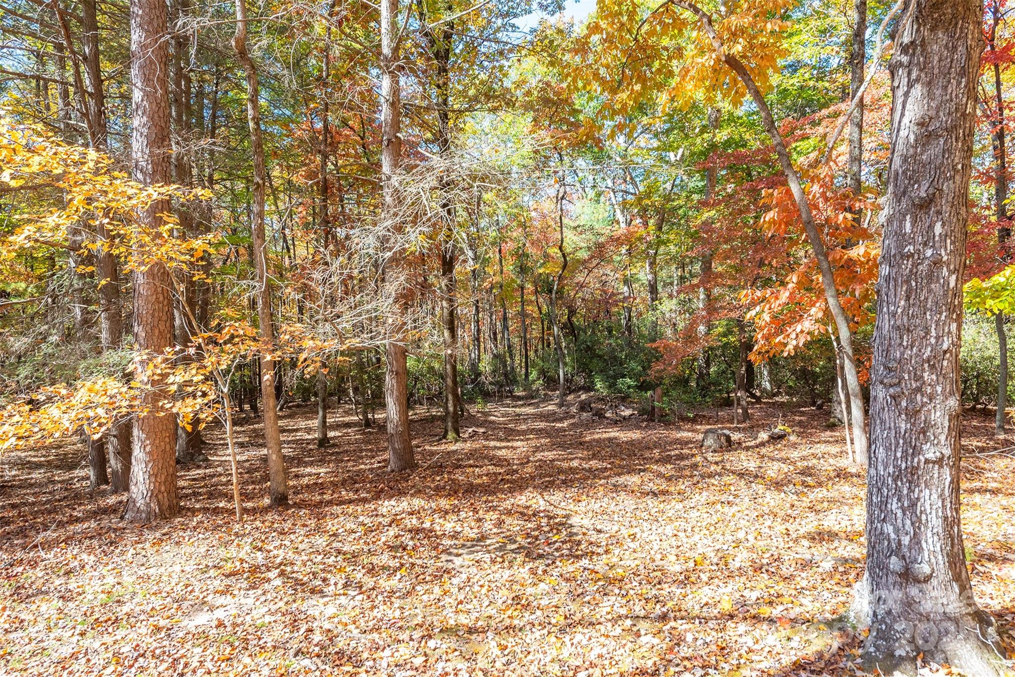 102 Weaver Mill Road — Columbus