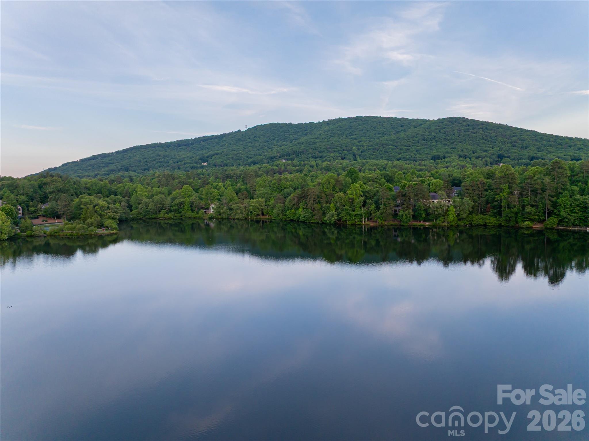 47 Twilight Sedge Drive — Biltmore Lake