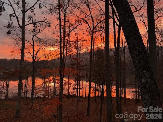 47 Twilight Sedge Drive — Biltmore Lake