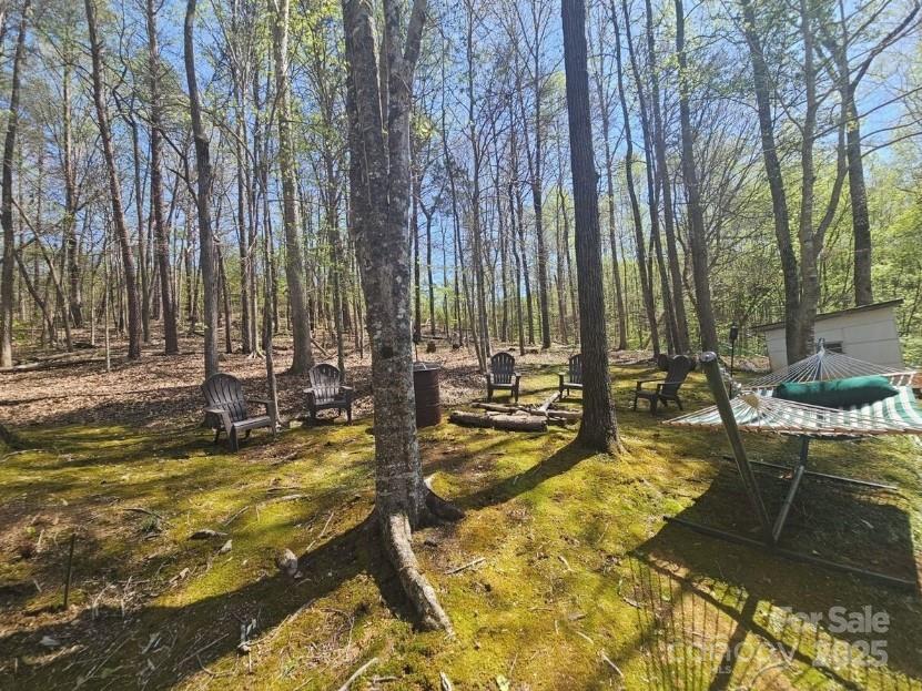 1597 Cleghorn Mill Road — Rutherfordton