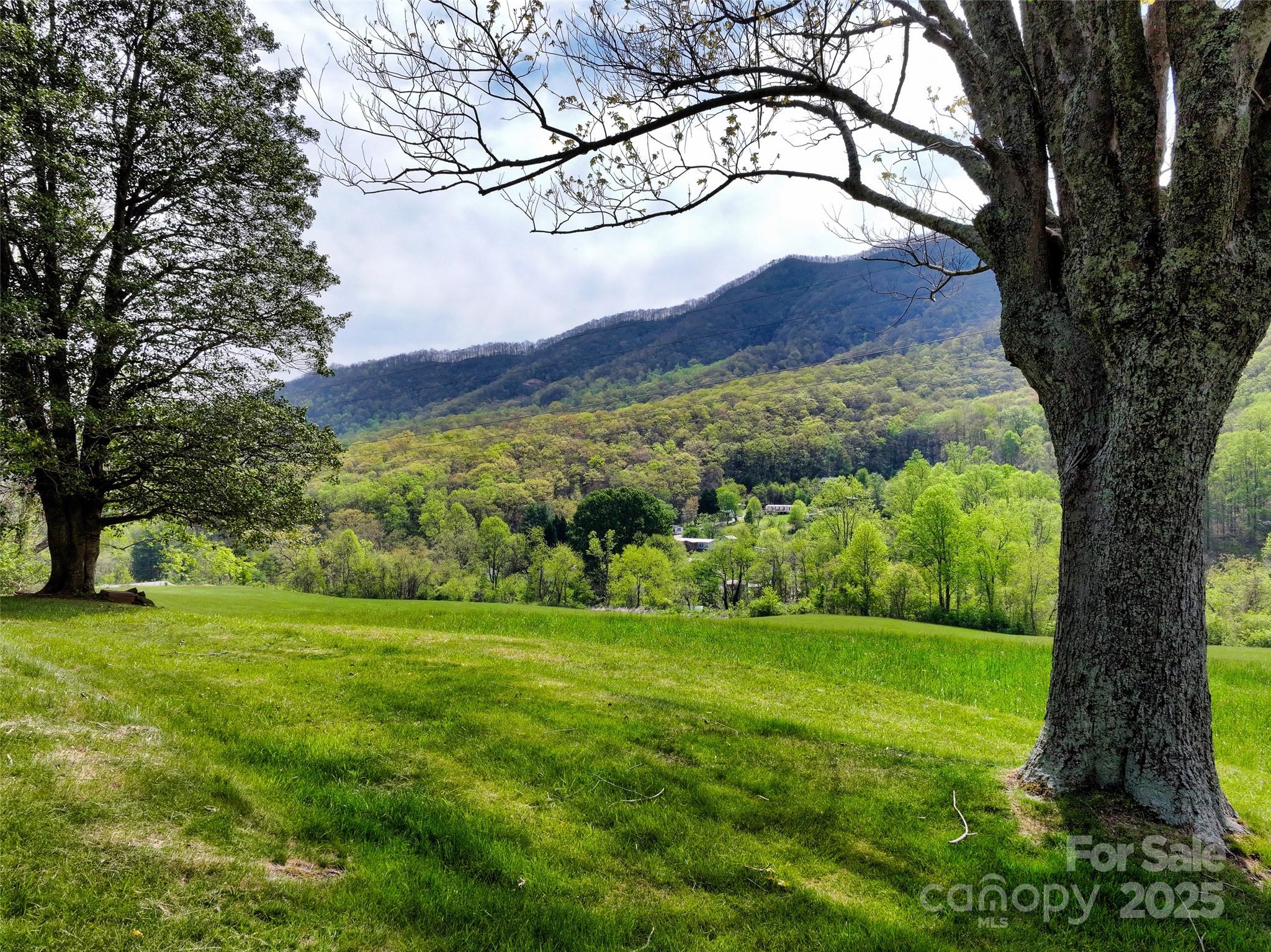 1567 Newfound Road — Leicester
