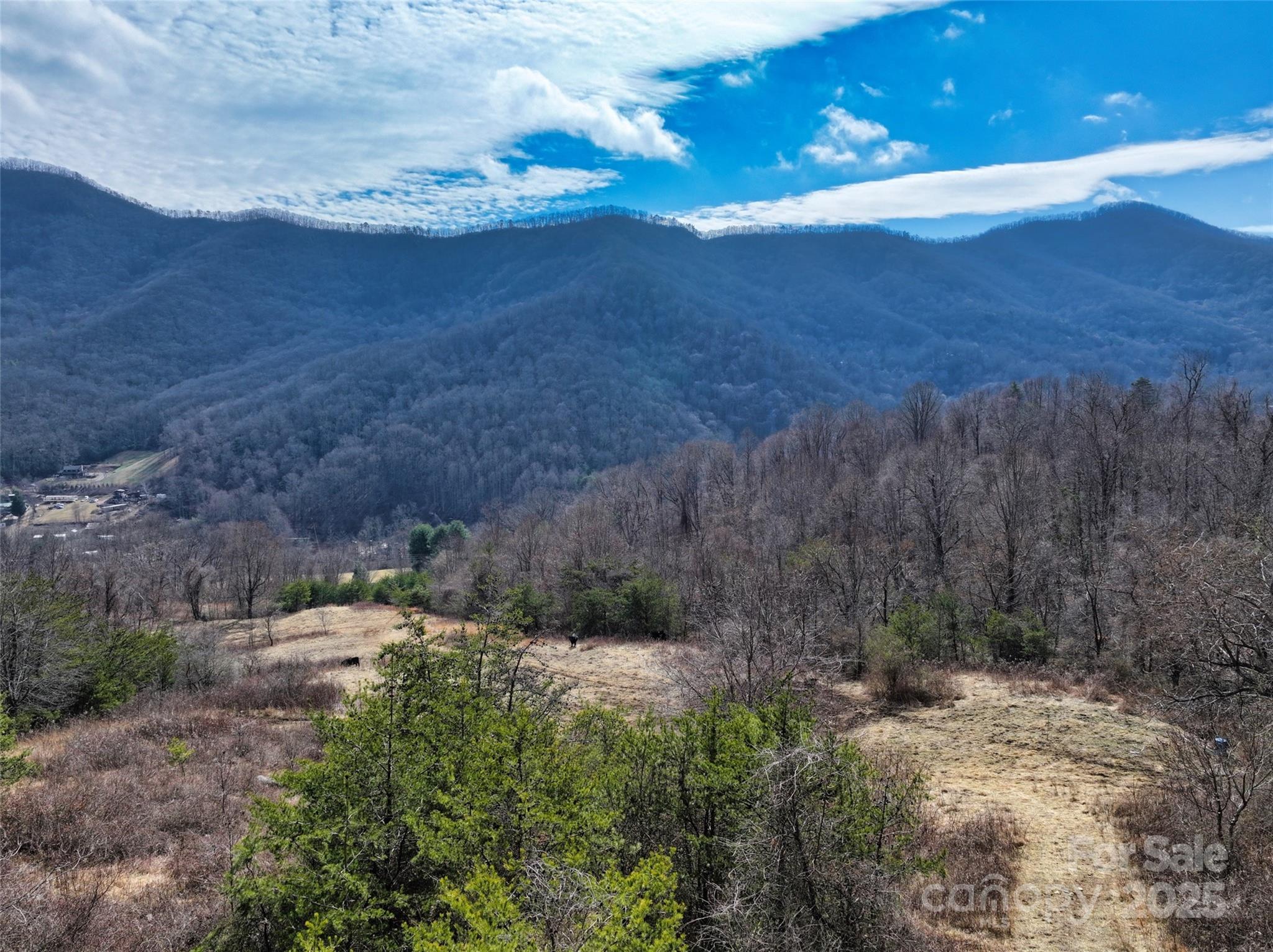1567 Newfound Road — Leicester