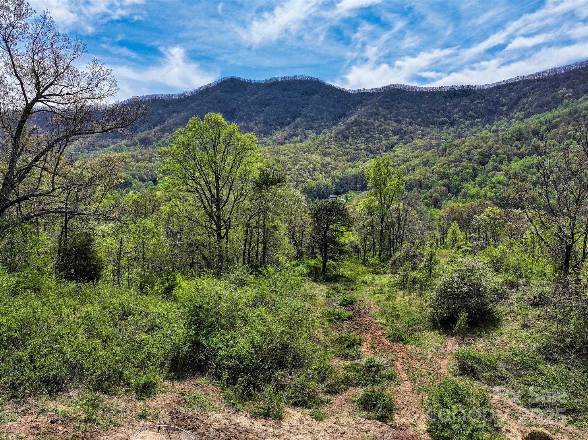 1567 Newfound Road — Leicester