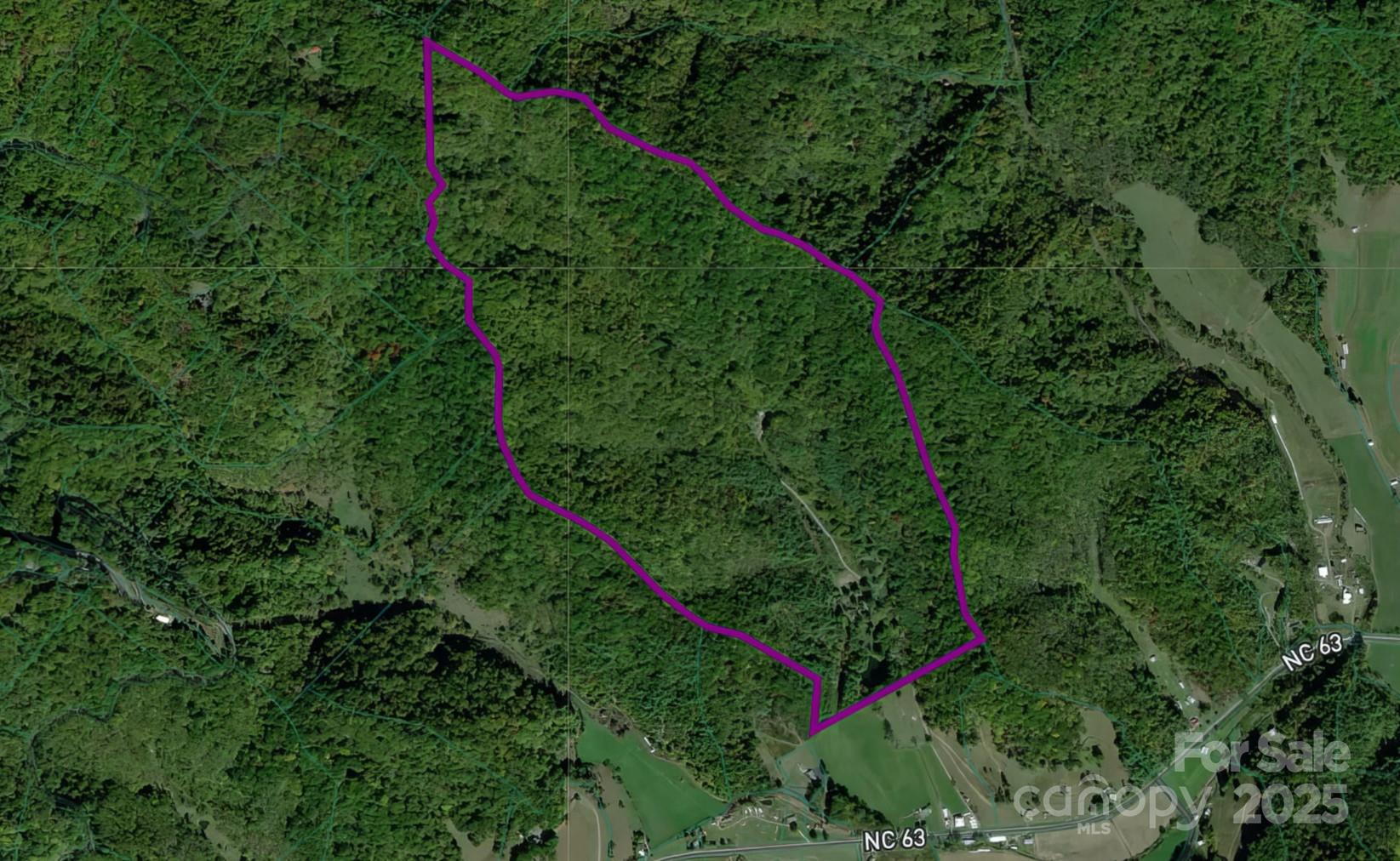 8749 Nc 63 Highway — Leicester