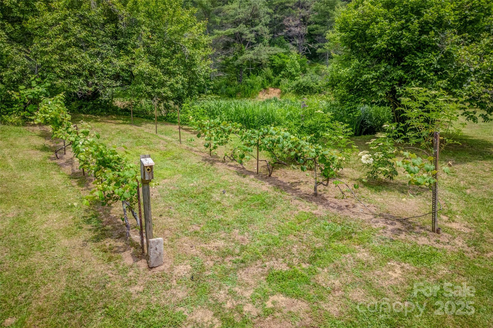 8749 Nc 63 Highway — Leicester