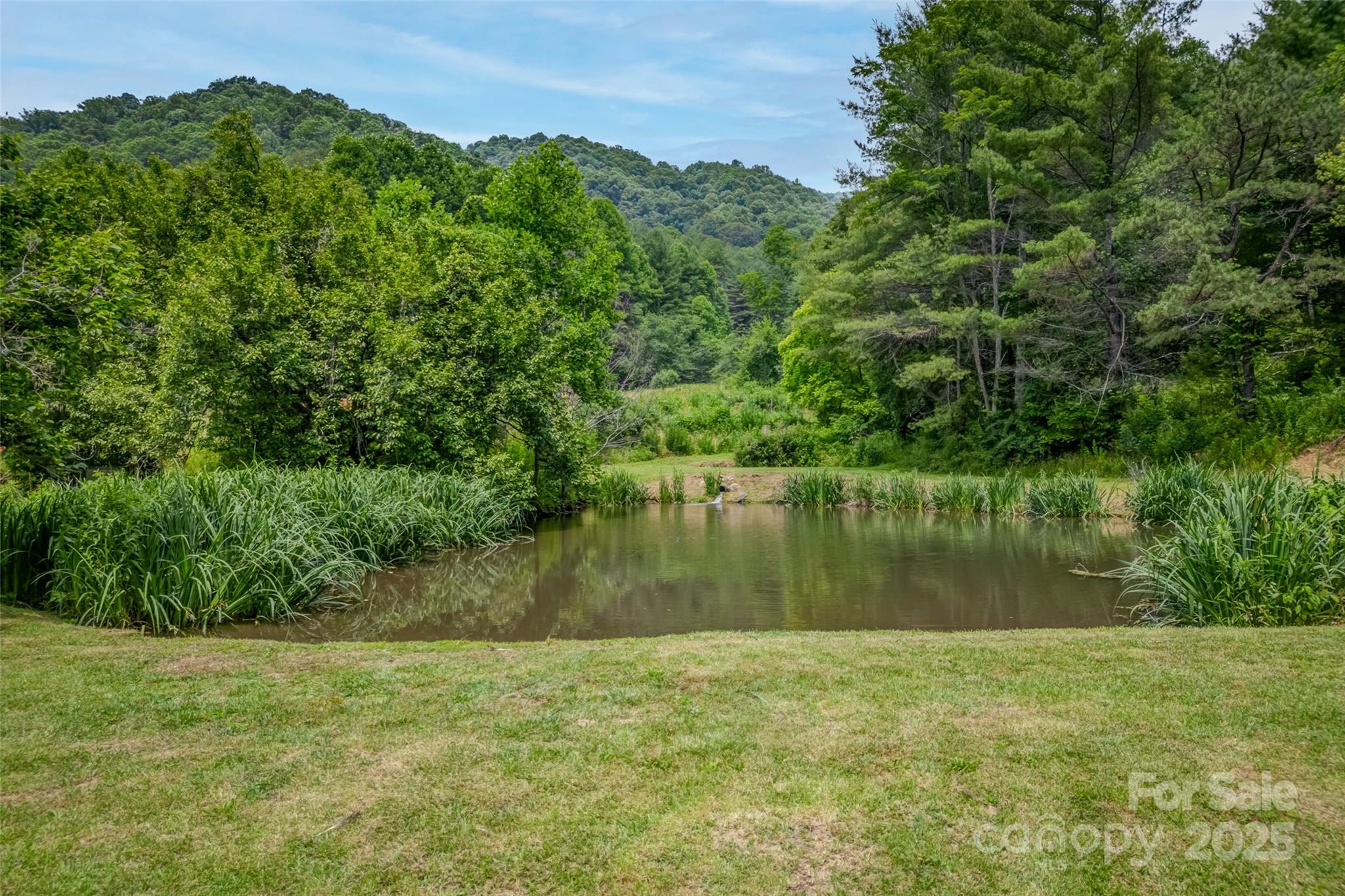 8749 Nc 63 Highway — Leicester