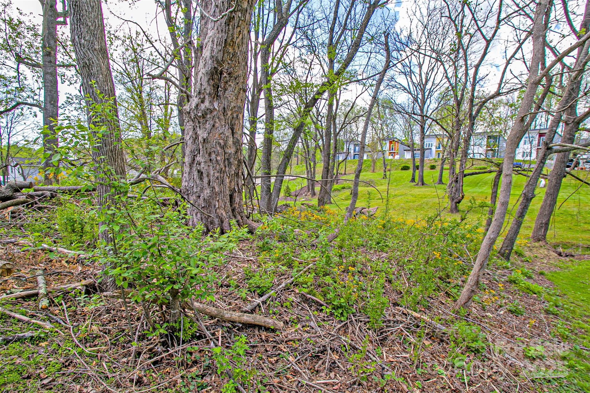 80 Carver Street — Brevard