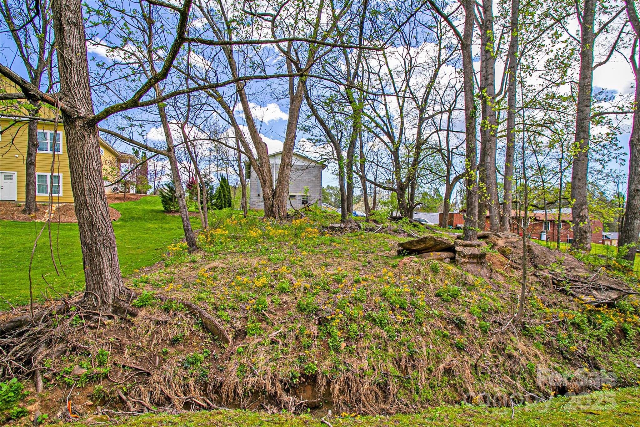 80 Carver Street — Brevard