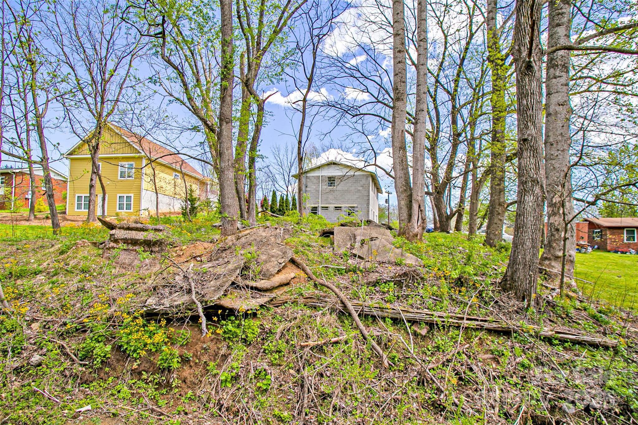 80 Carver Street — Brevard