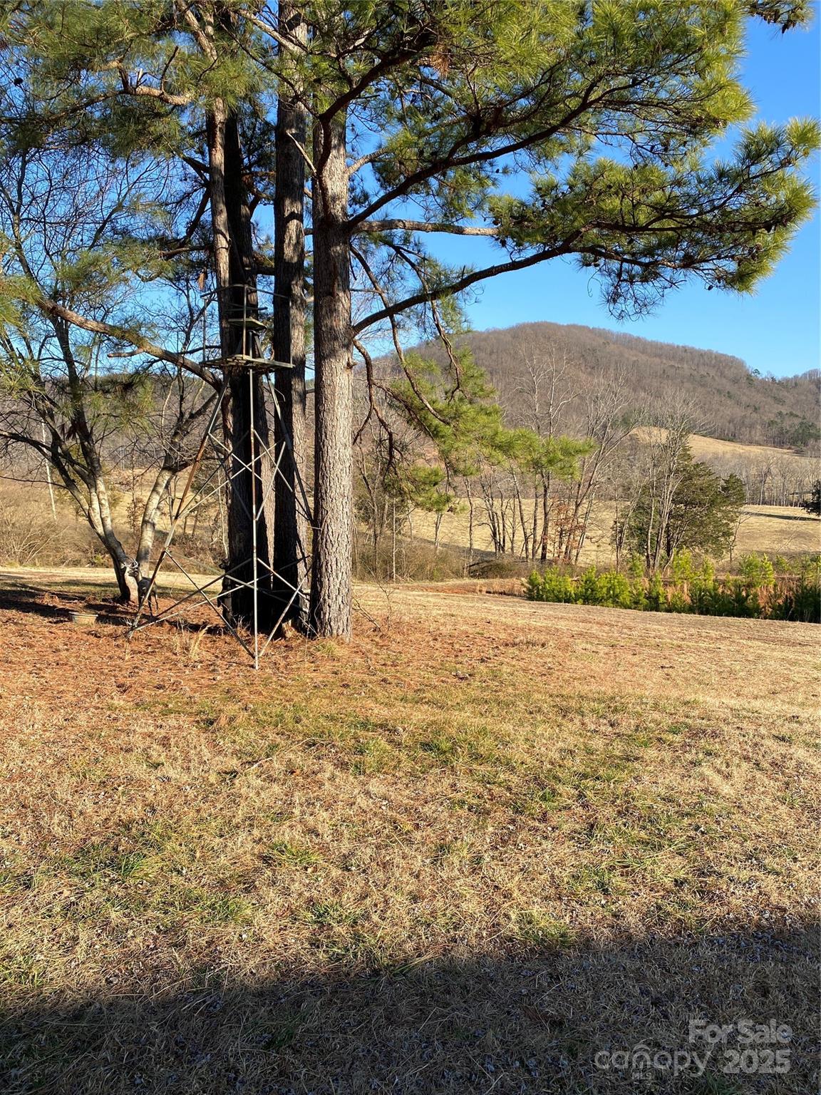 1180 Calton Road — Bostic