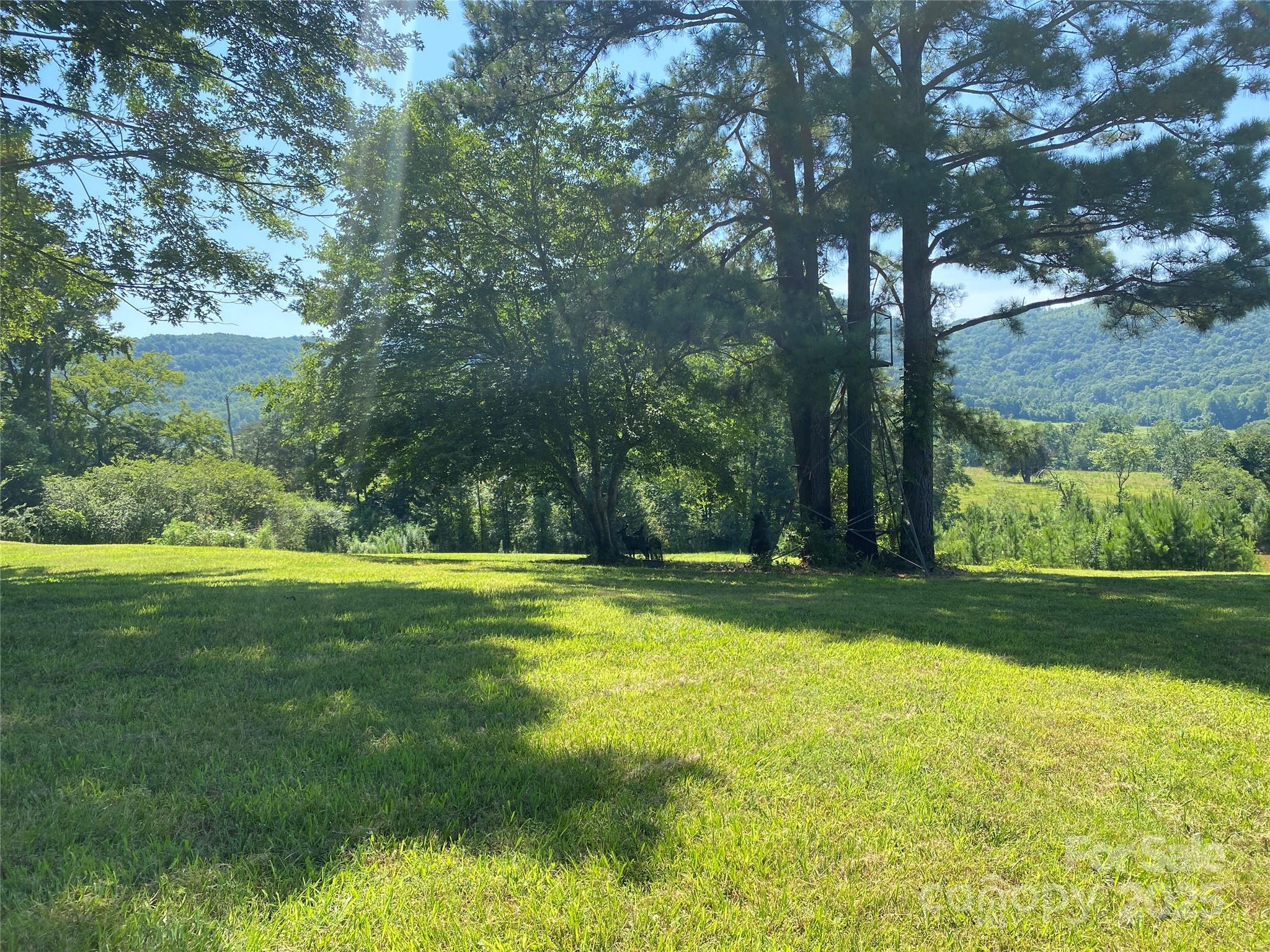 1180 Calton Road — Bostic