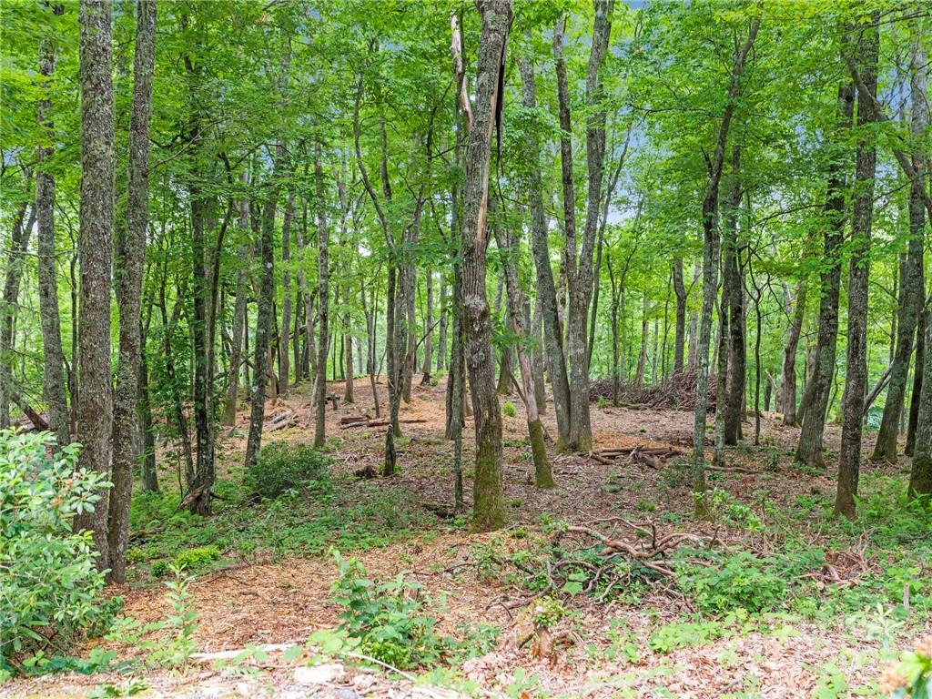 167 Bold Springs Road — Sylva