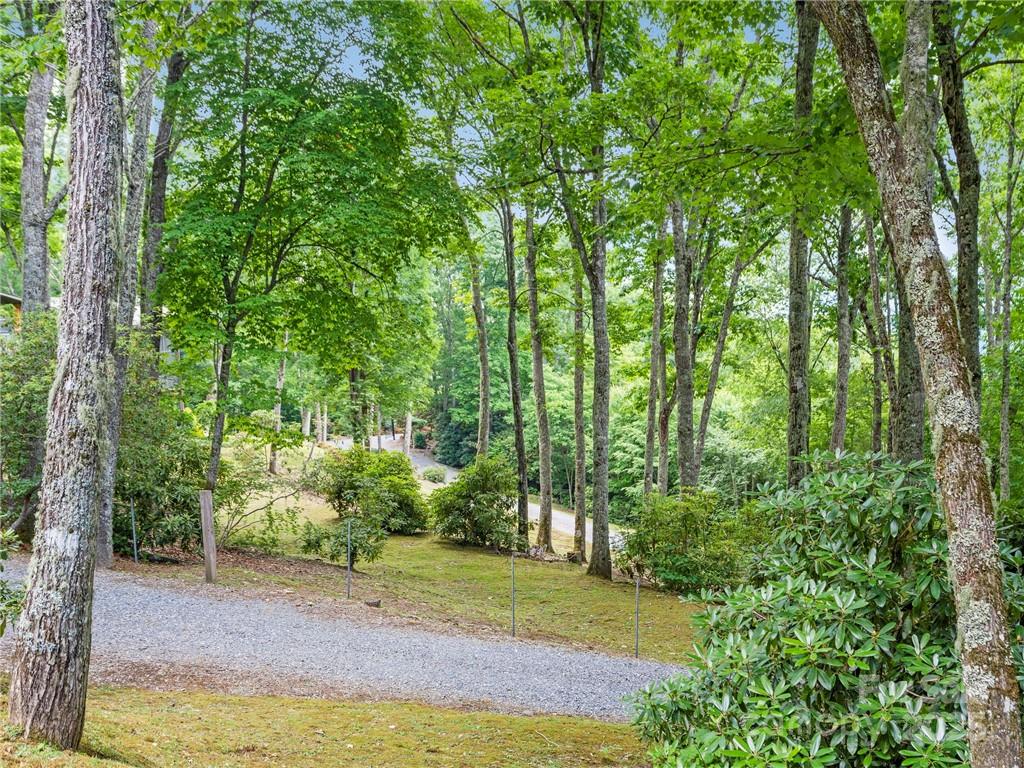 167 Bold Springs Road — Sylva