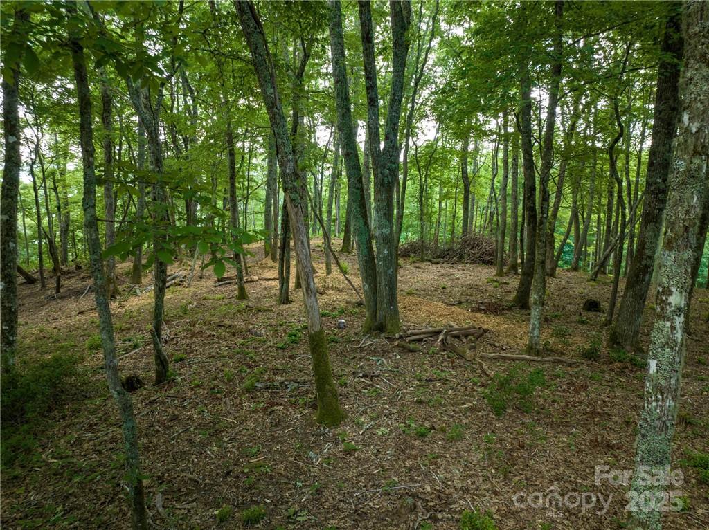 167 Bold Springs Road — Sylva