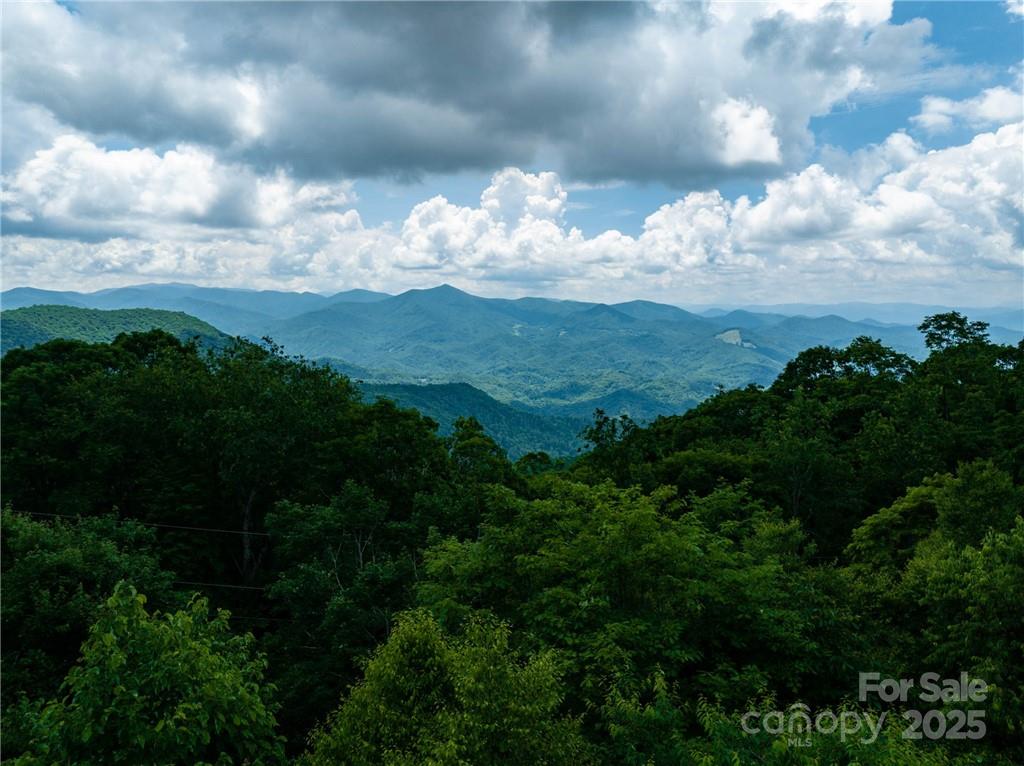 167 Bold Springs Road — Sylva