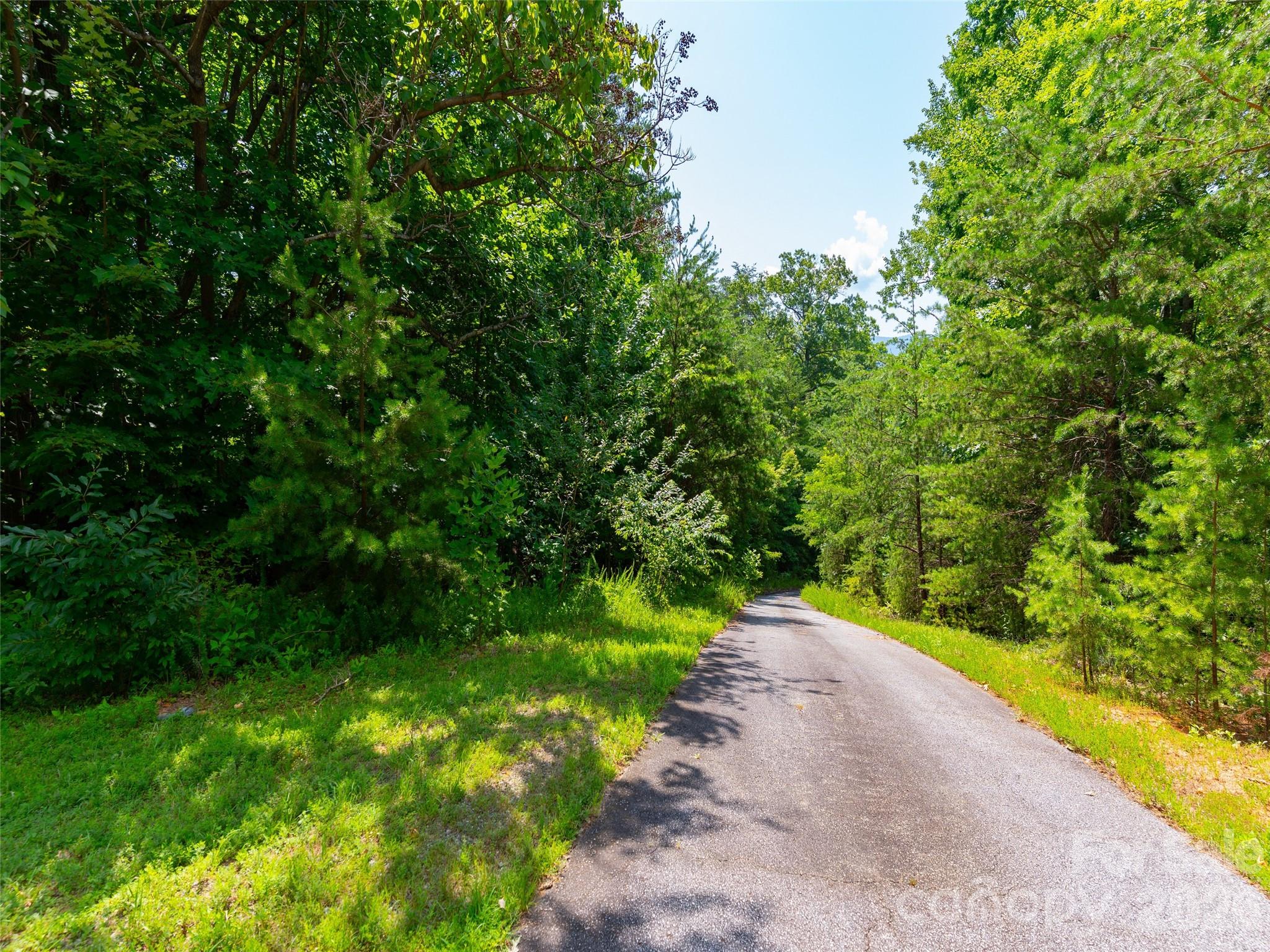 142 Elkton Court — Mill Spring